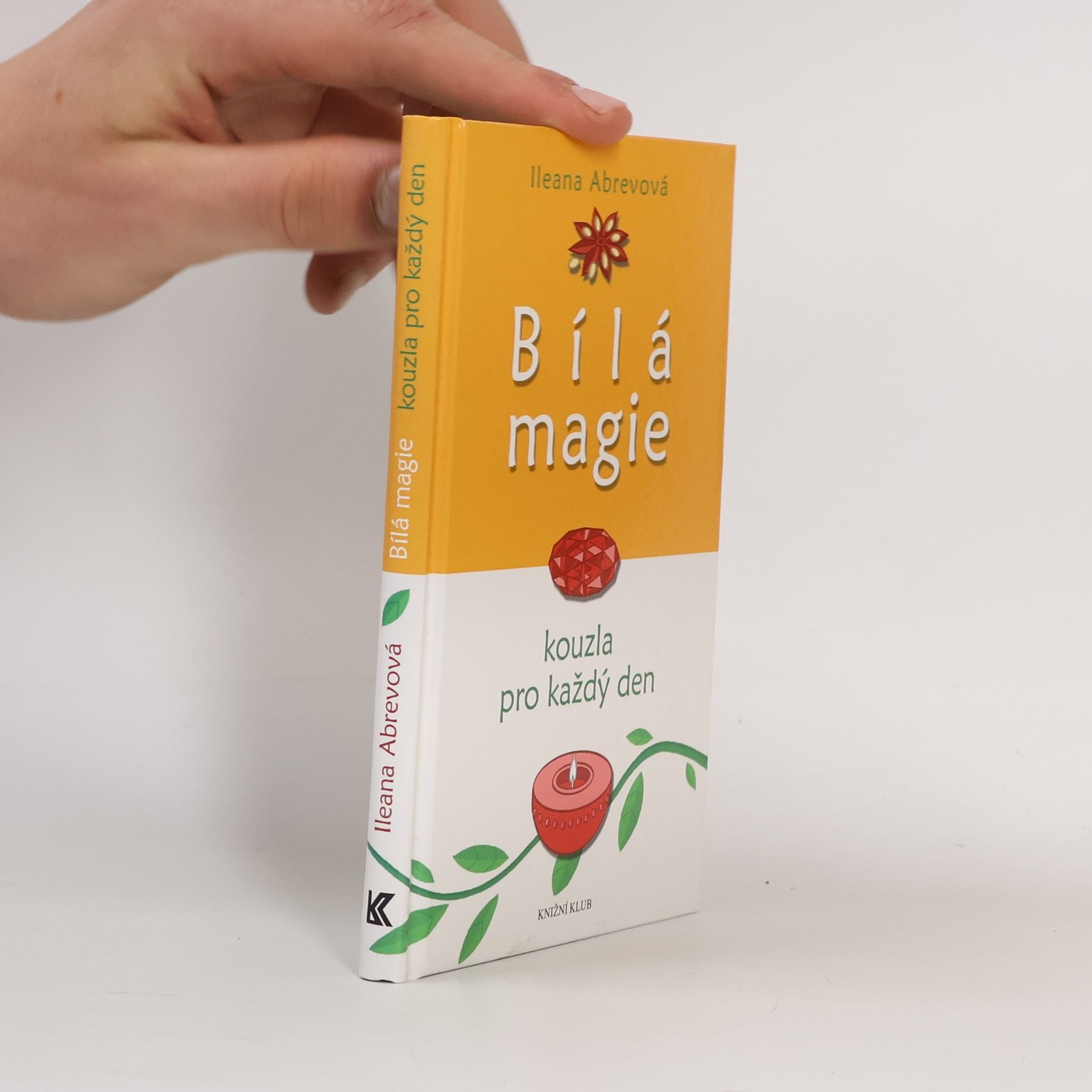Bílá magie : kouzla pro každý den