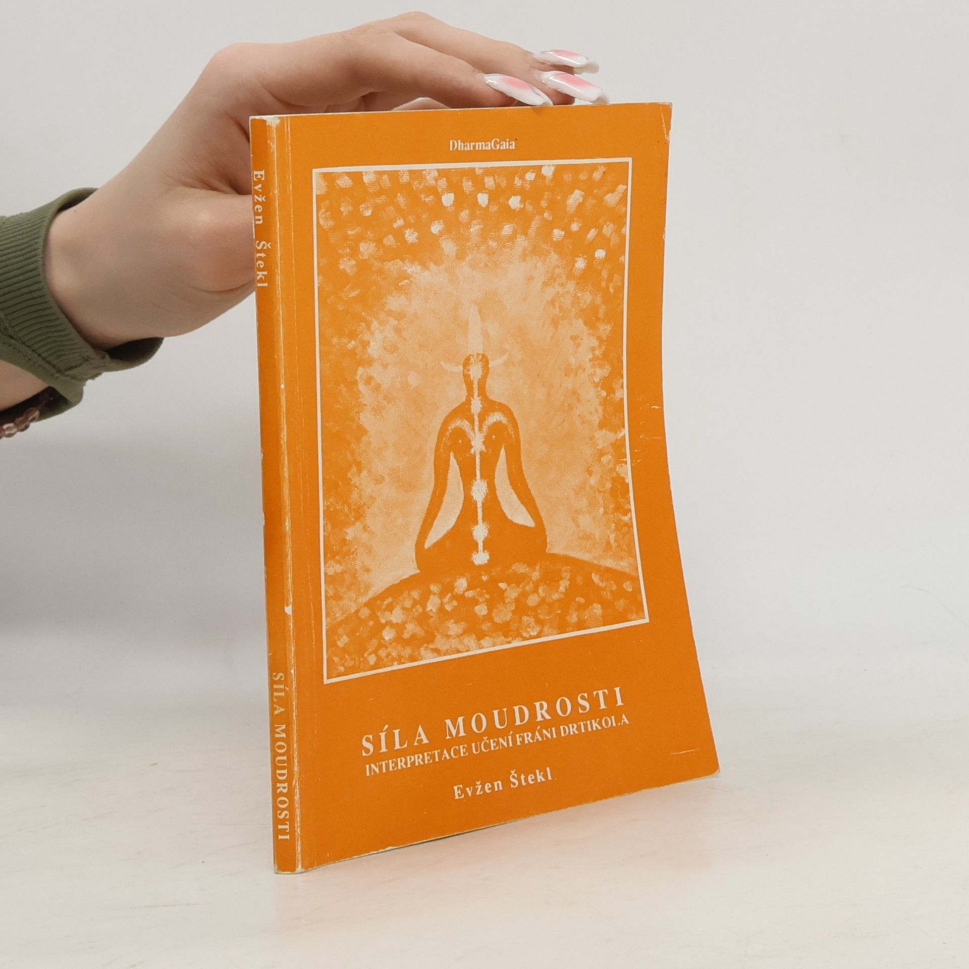 Evžen Štekl Síla moudrosti. Interpretace učení Fráni Drtikola