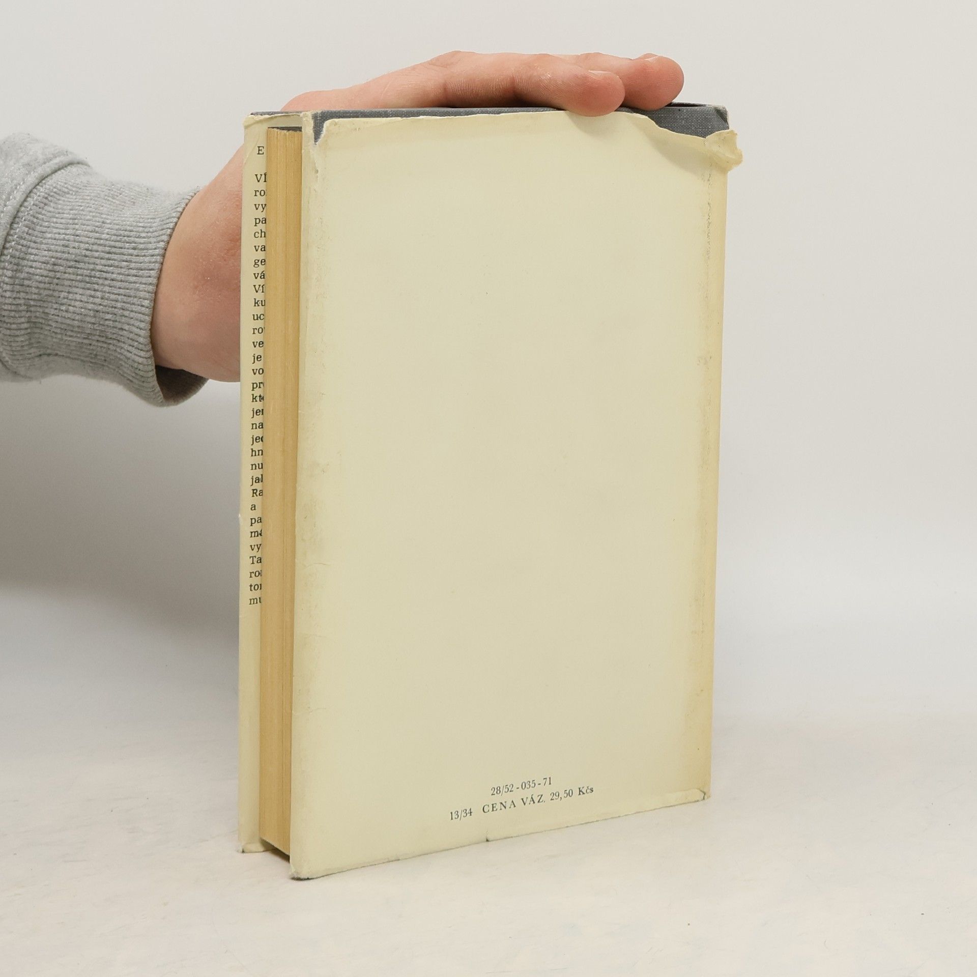 Erich Maria Remarque Vítězný oblouk