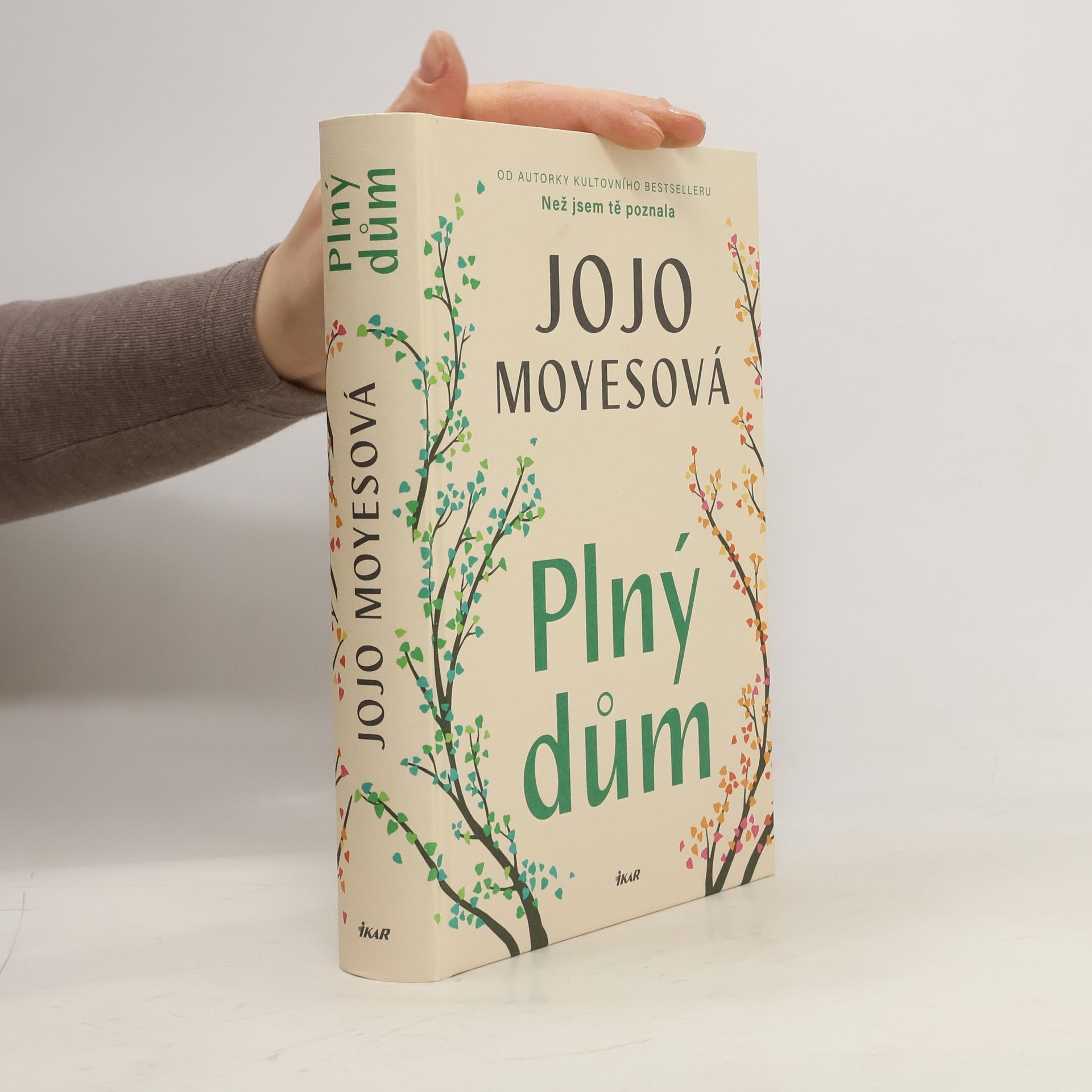 Jojo Moyes Plný dům