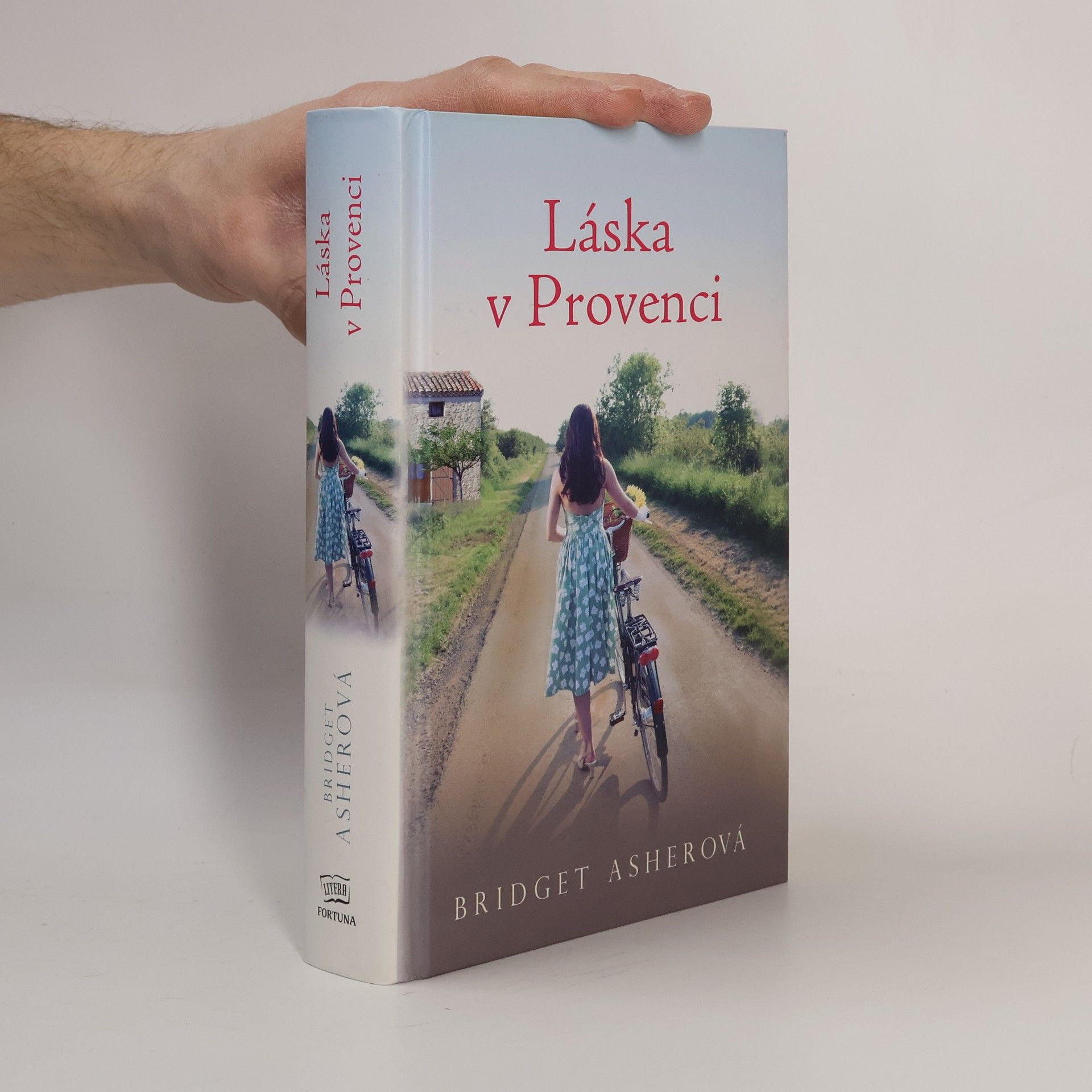 Bridget Asher Láska v Provenci