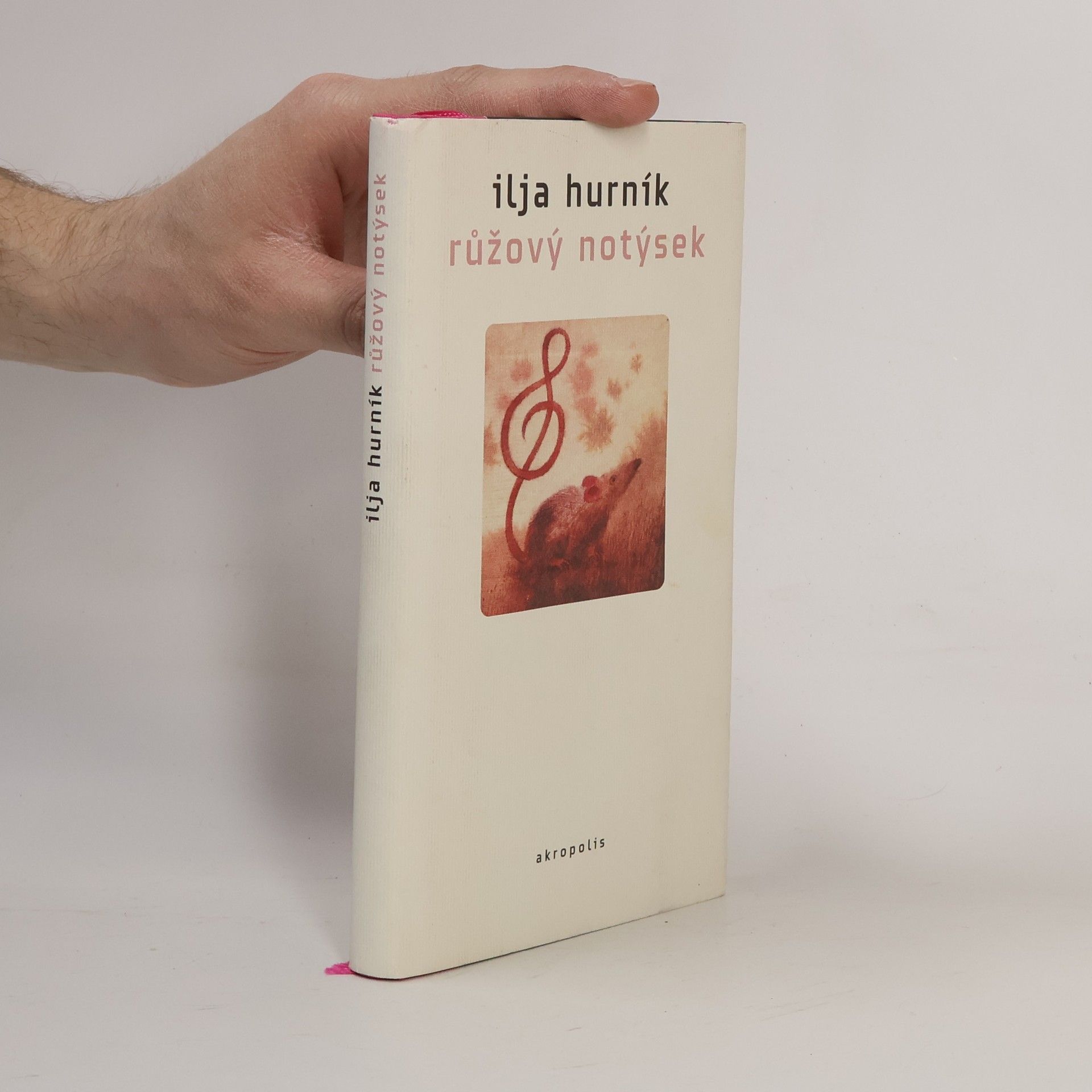 Ilja Hurník Růžový notýsek