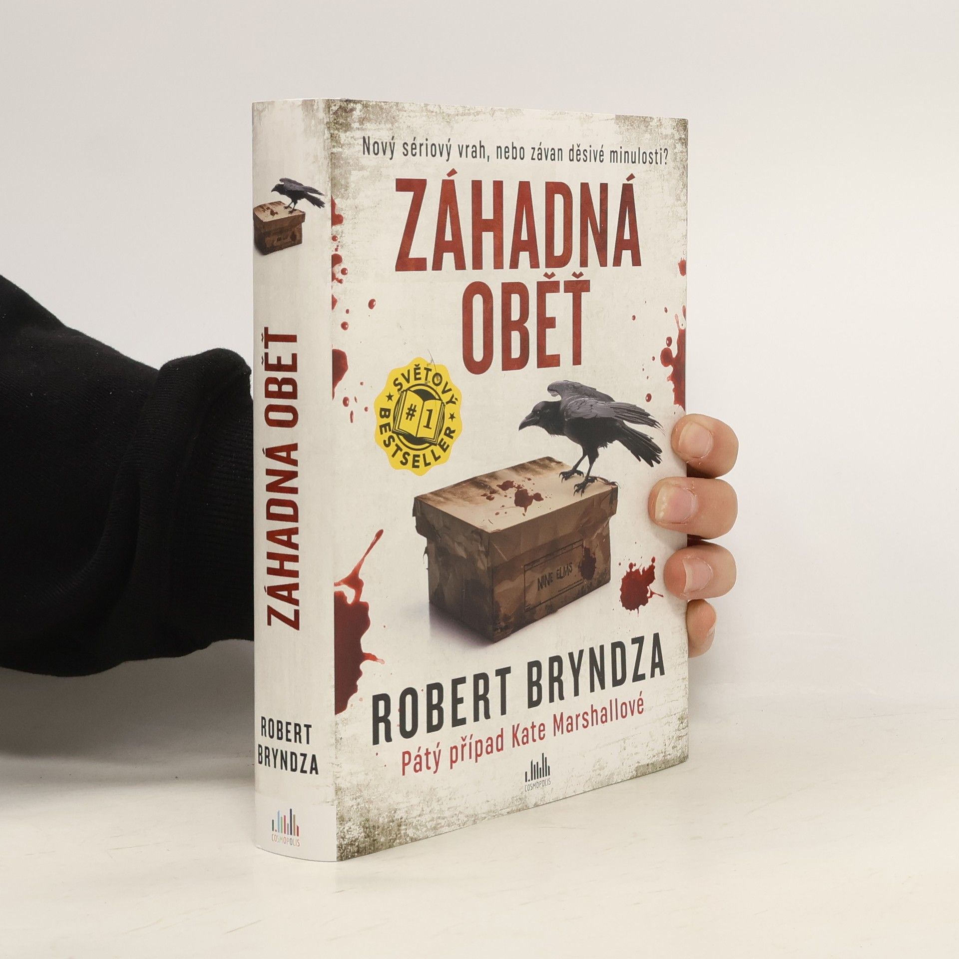 Robert Bryndza Záhadná oběť