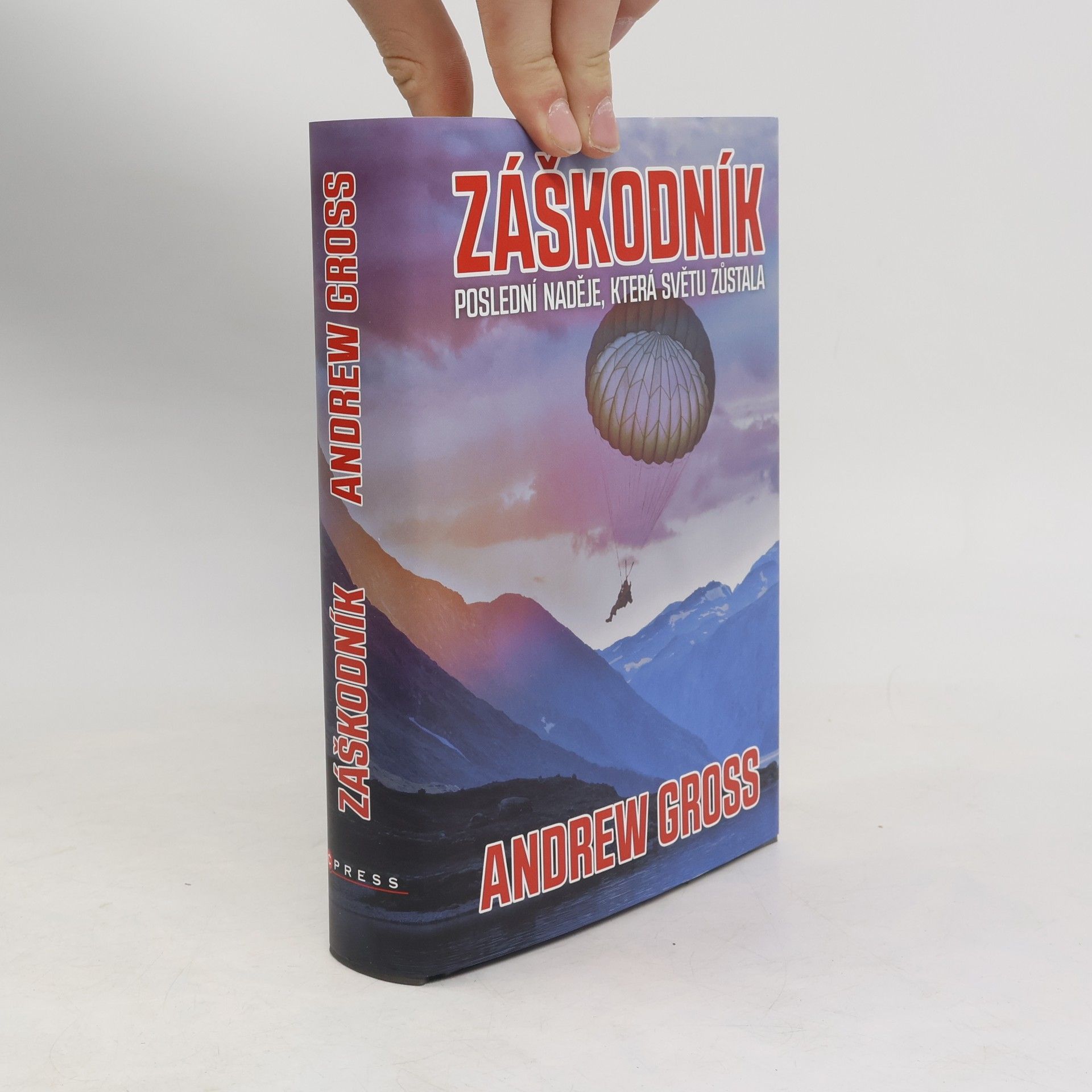 Andrew Gross Záškodník