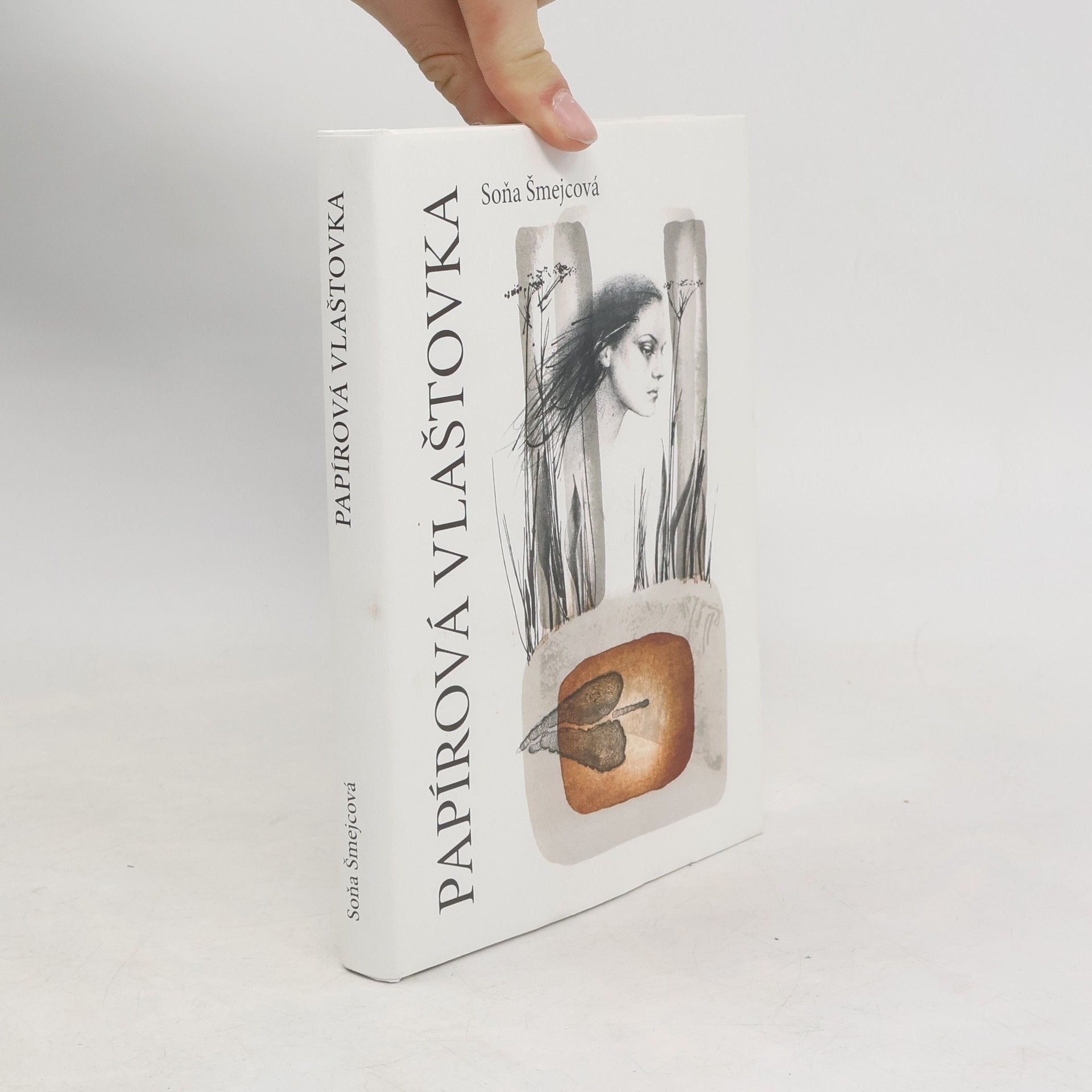 Soňa Šmejcová Papírová vlaštovka