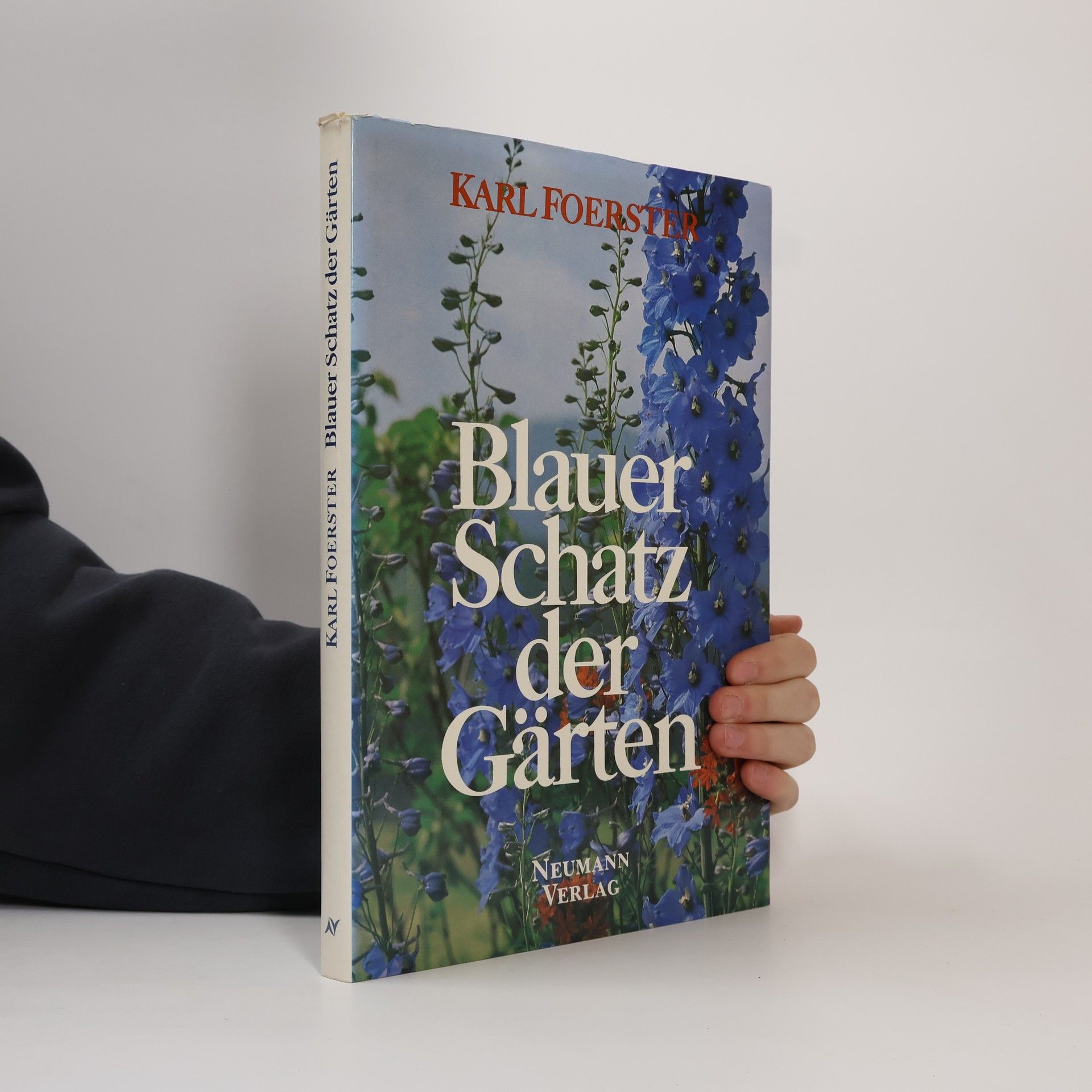 Karl Foerster Blauer Schatz der Gärten