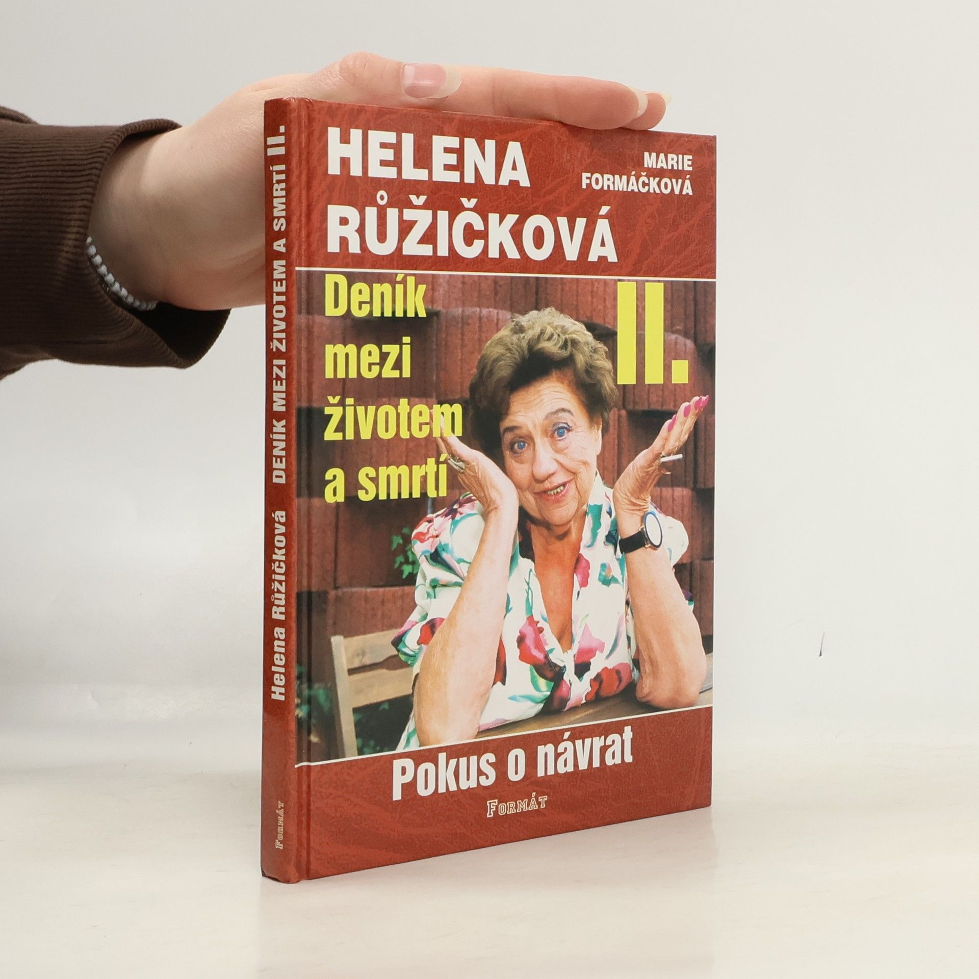 Marie Formačková Deník mezi životem a smrtí. II., Pokus o návrat