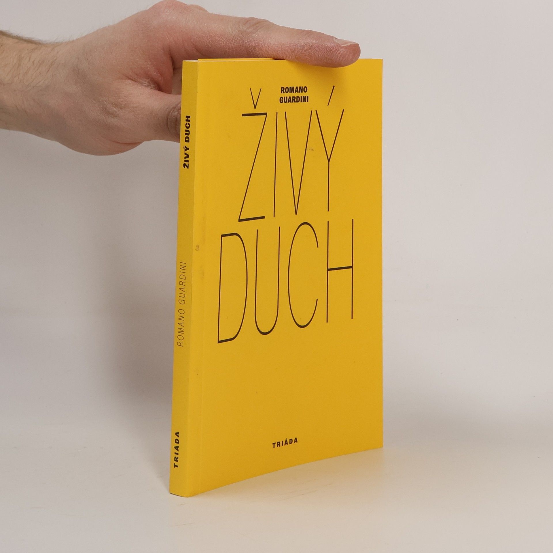 Josef Čapek Publicistika 4 - Výtvarné eseje a kritiky 1931-1939