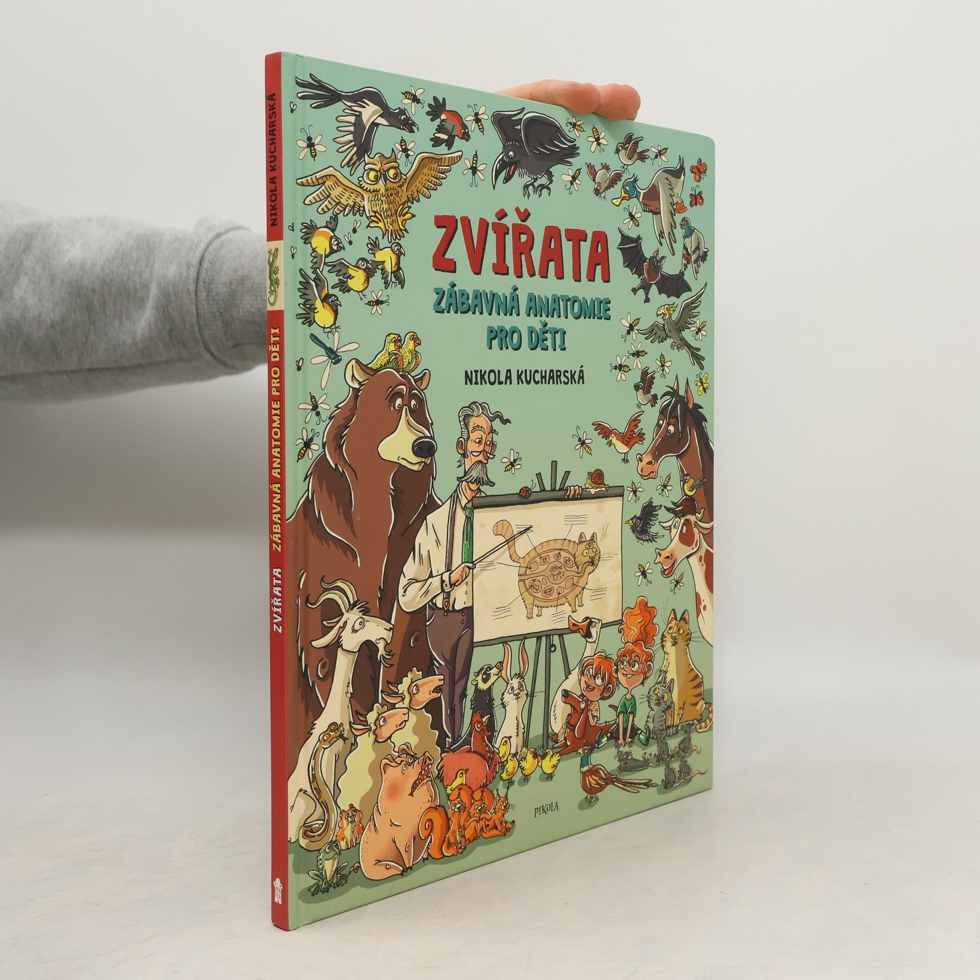 Nikola Kucharska Zvířata: Zábavná anatomie pro děti