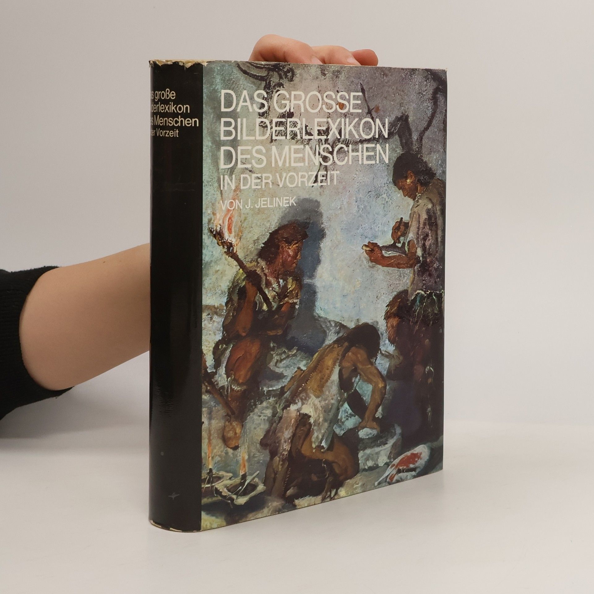 Jan Jelínek Das große Bilderlexikon des Menschen in der Vorzeit