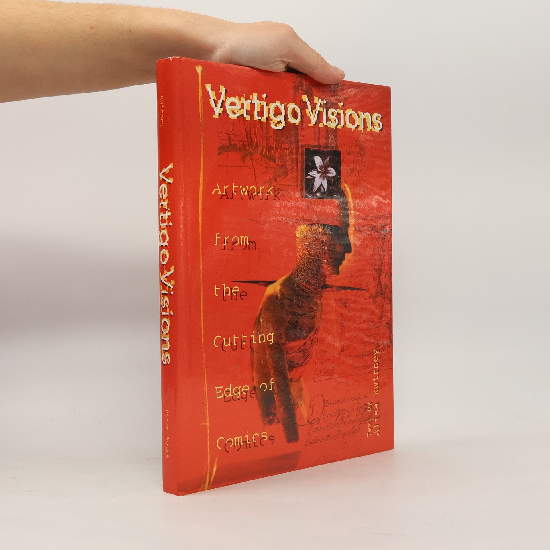 Alisa Kwitney Vertigo Visions