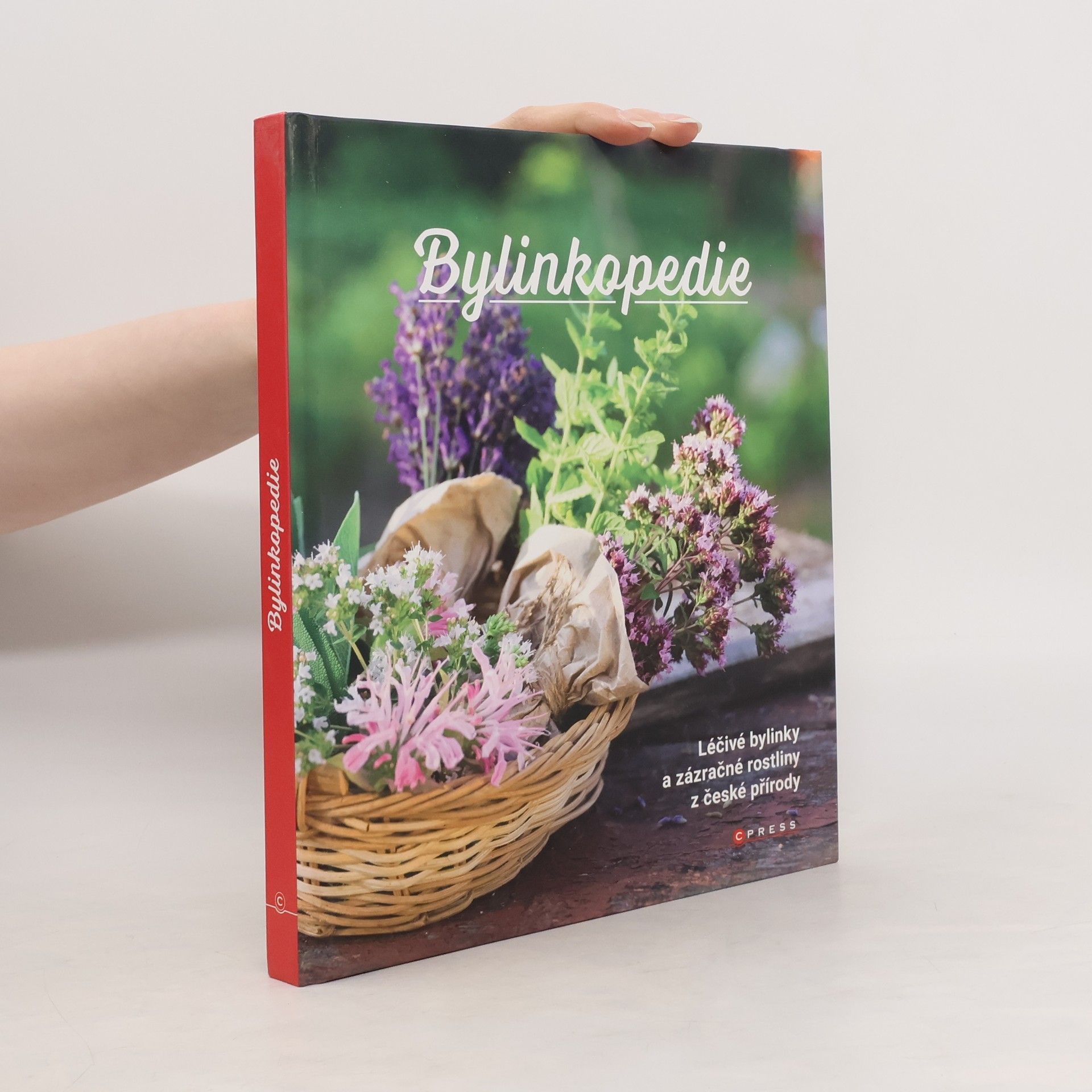 Autorenkollektiv Bylinkopedie