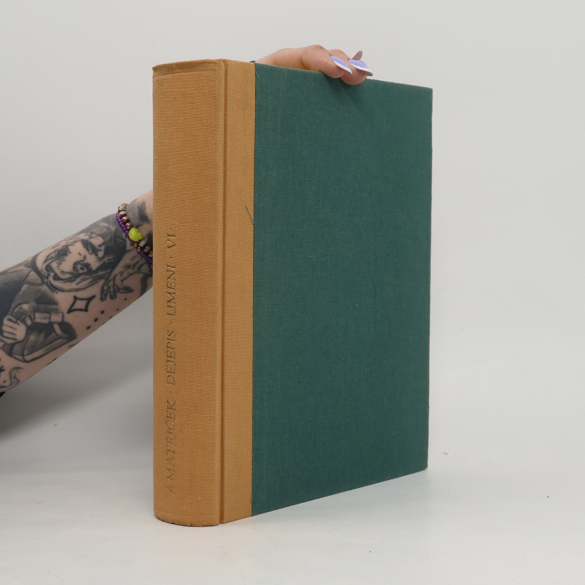 Antonín Matějček Dějepis umění 6