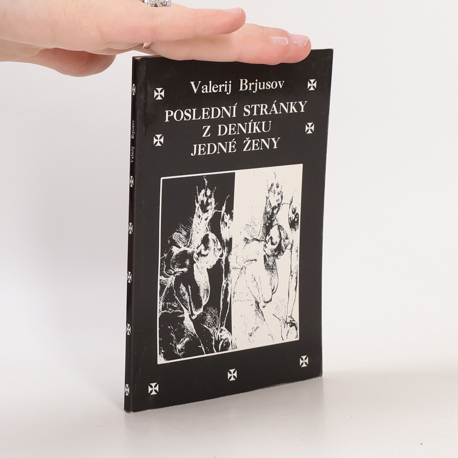 Poslední stránky z deníku jedné ženy