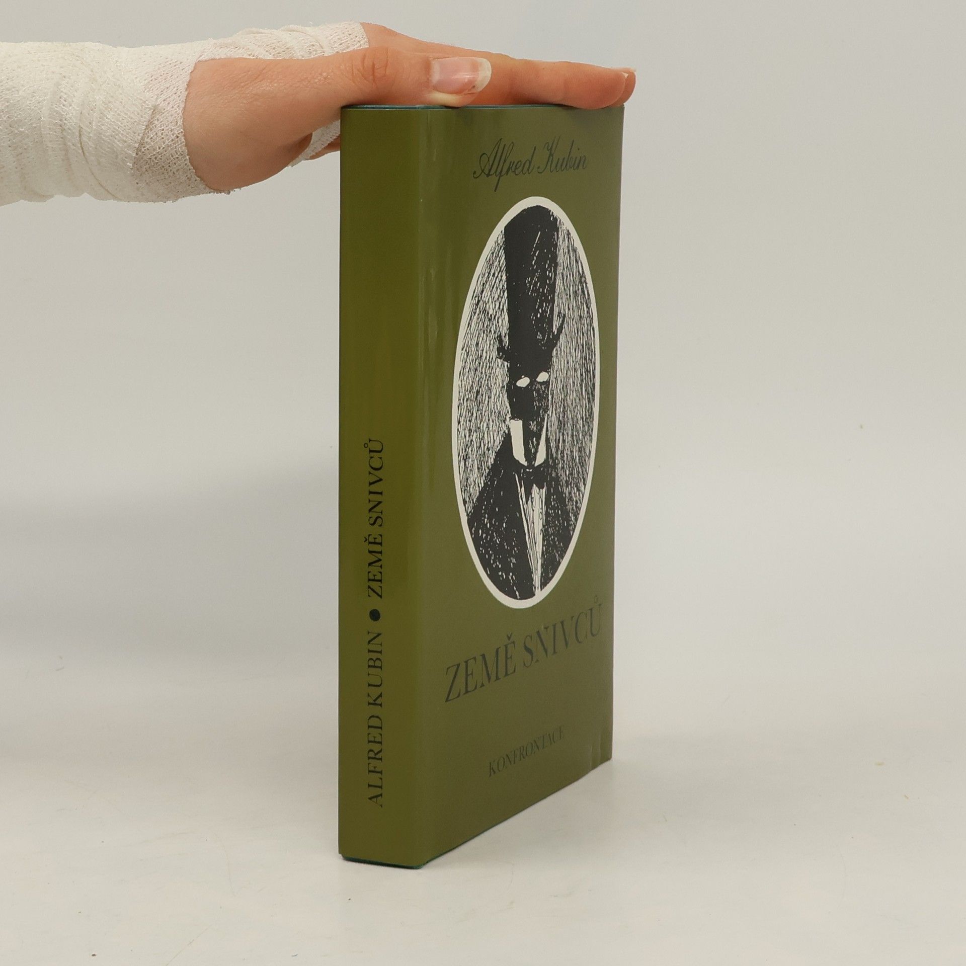 Alfred Kubin Země snivců