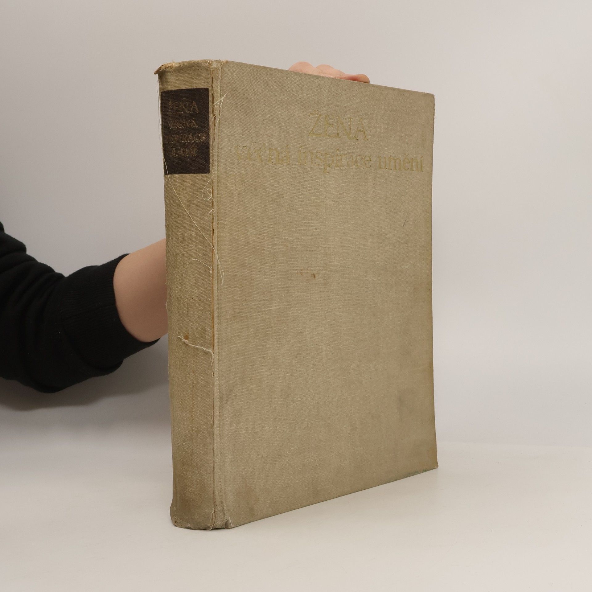 Jarmila Blažková Žena věčná inspirace umění