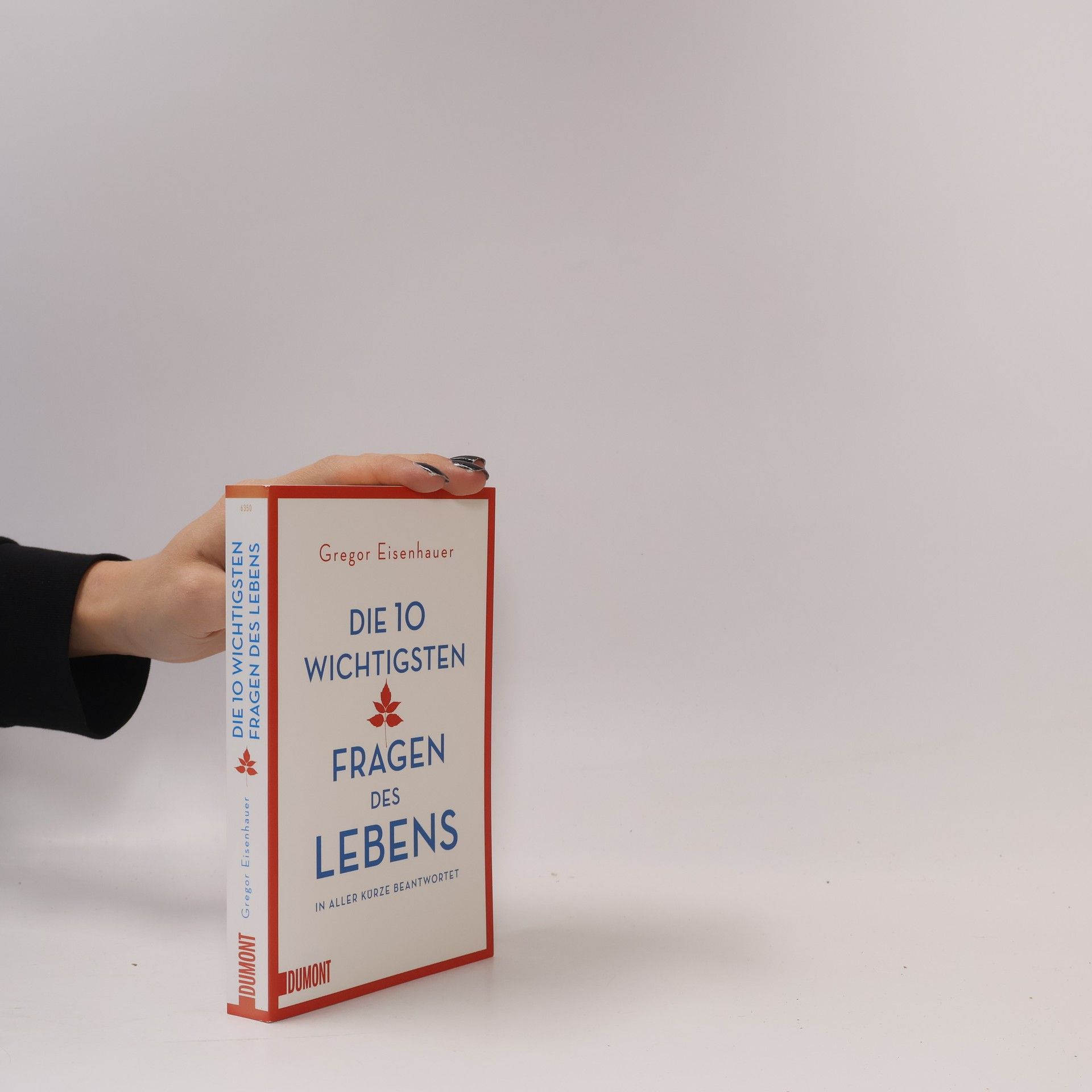 Gregor Eisenhauer Die 10 wichtigsten Fragen des Lebens in aller Kürze beantwortet