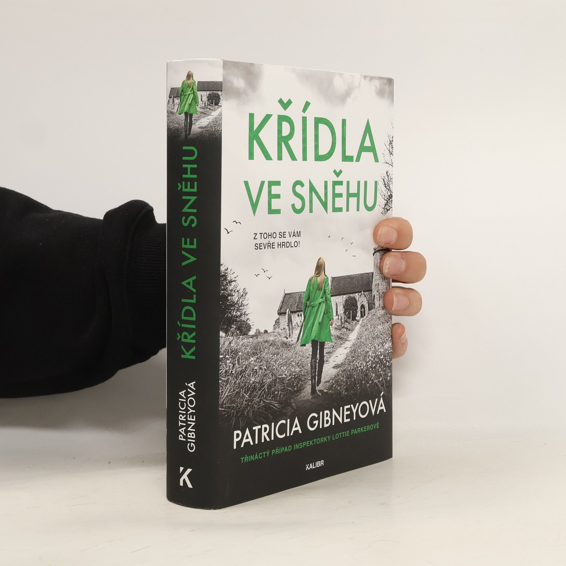 Patricia Gibney Křídla ve sněhu