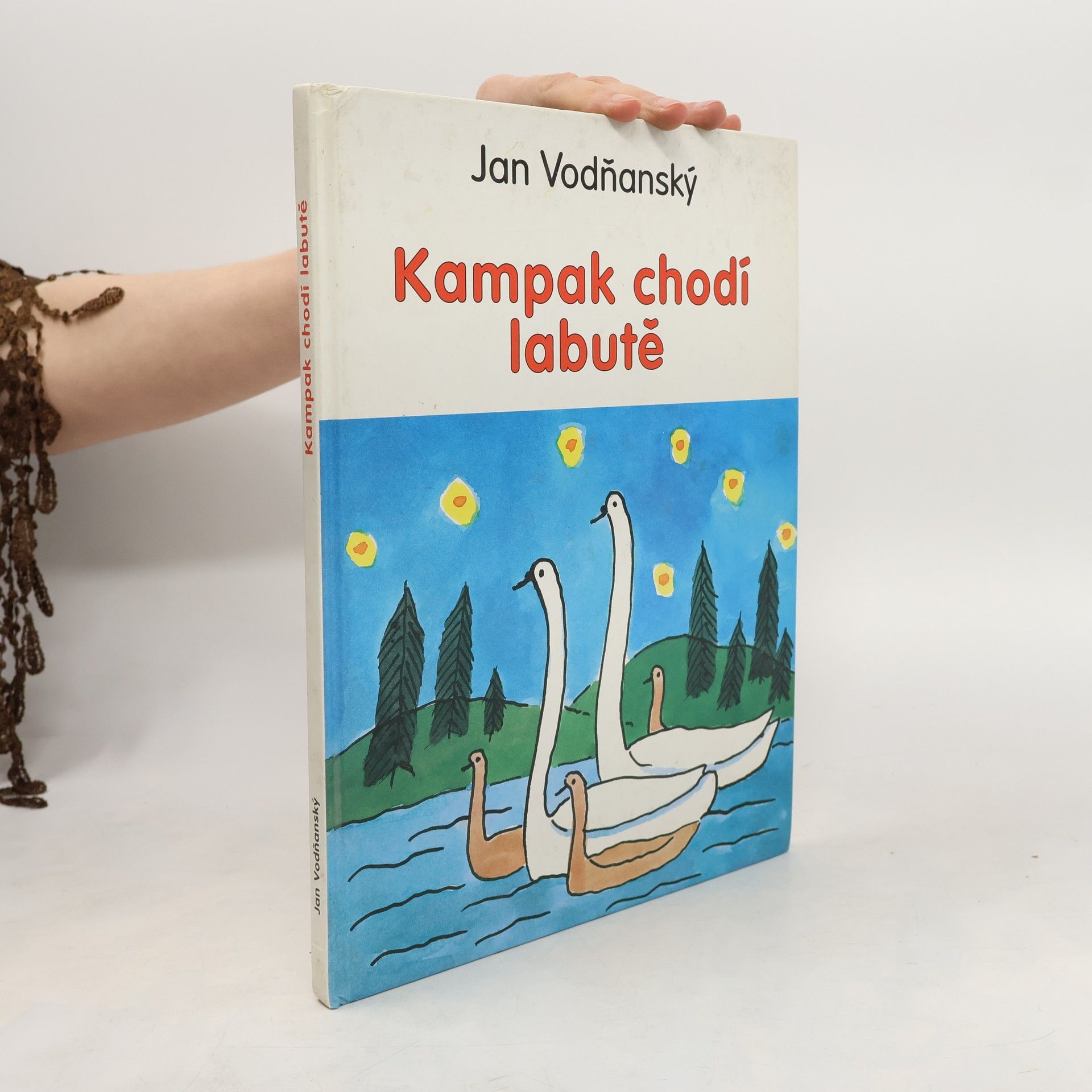 Kampak chodí labutě