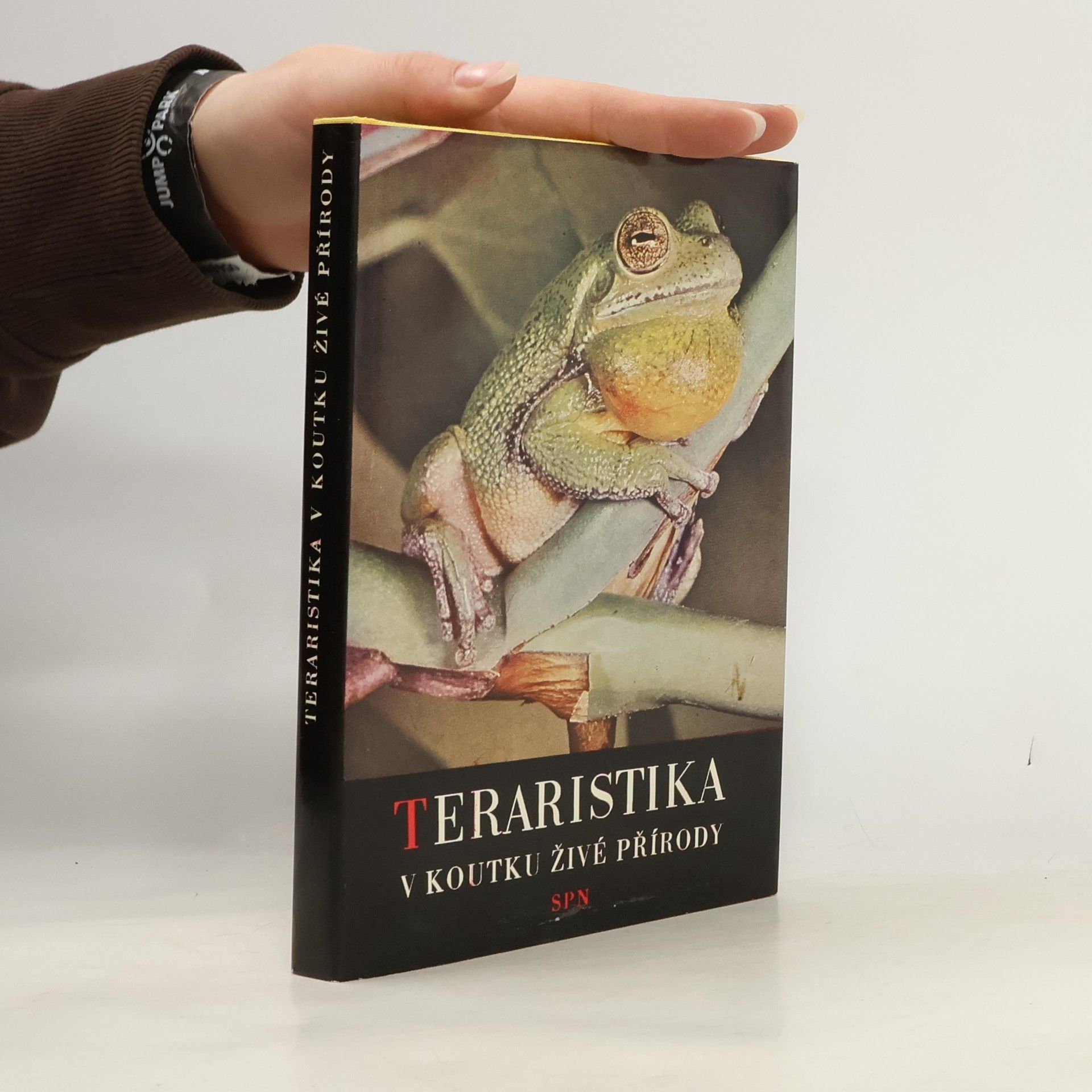 Teraristika v koutku živé přírody