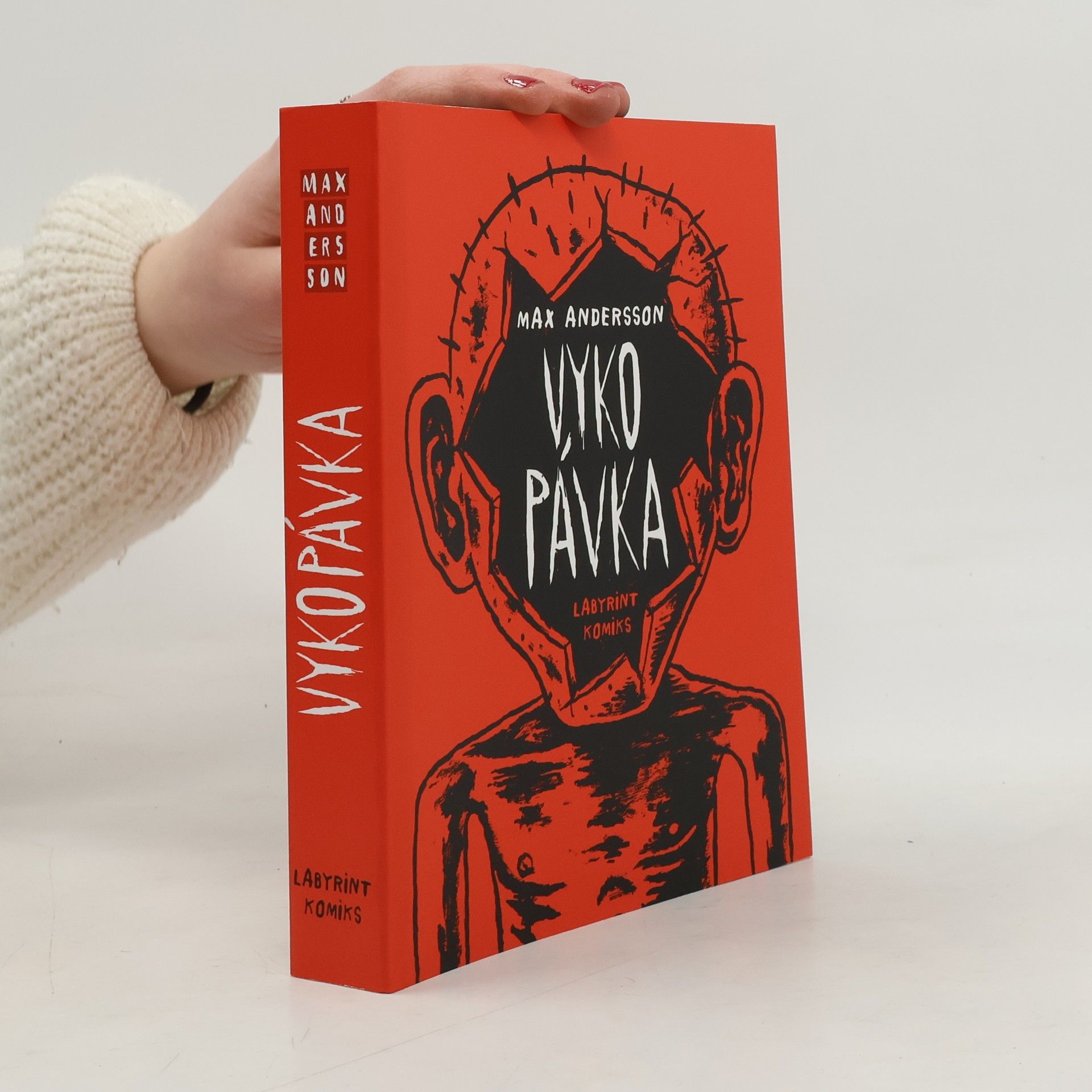 Max Andersson Vykopávka