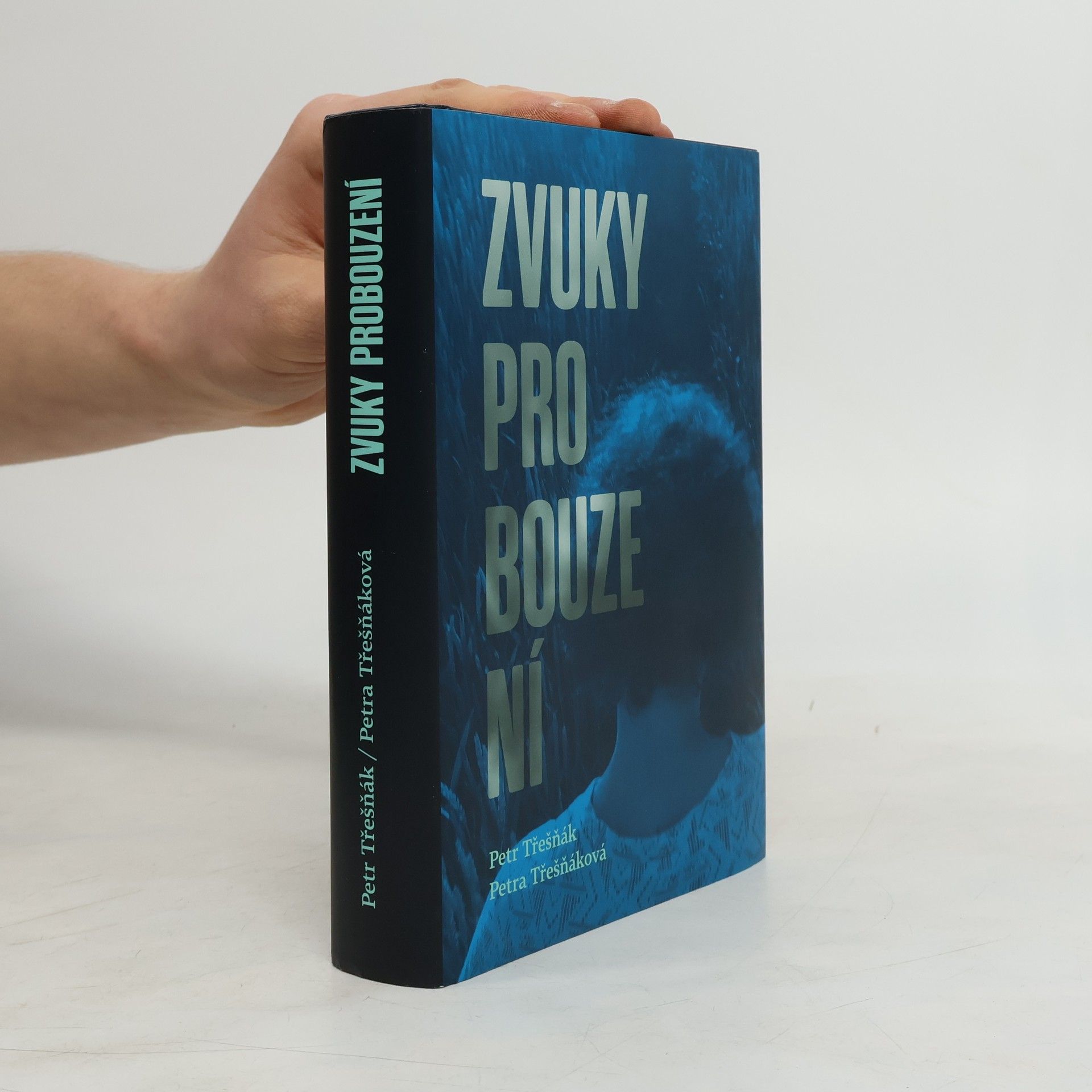 Petr Třešňák Zvuky probouzení