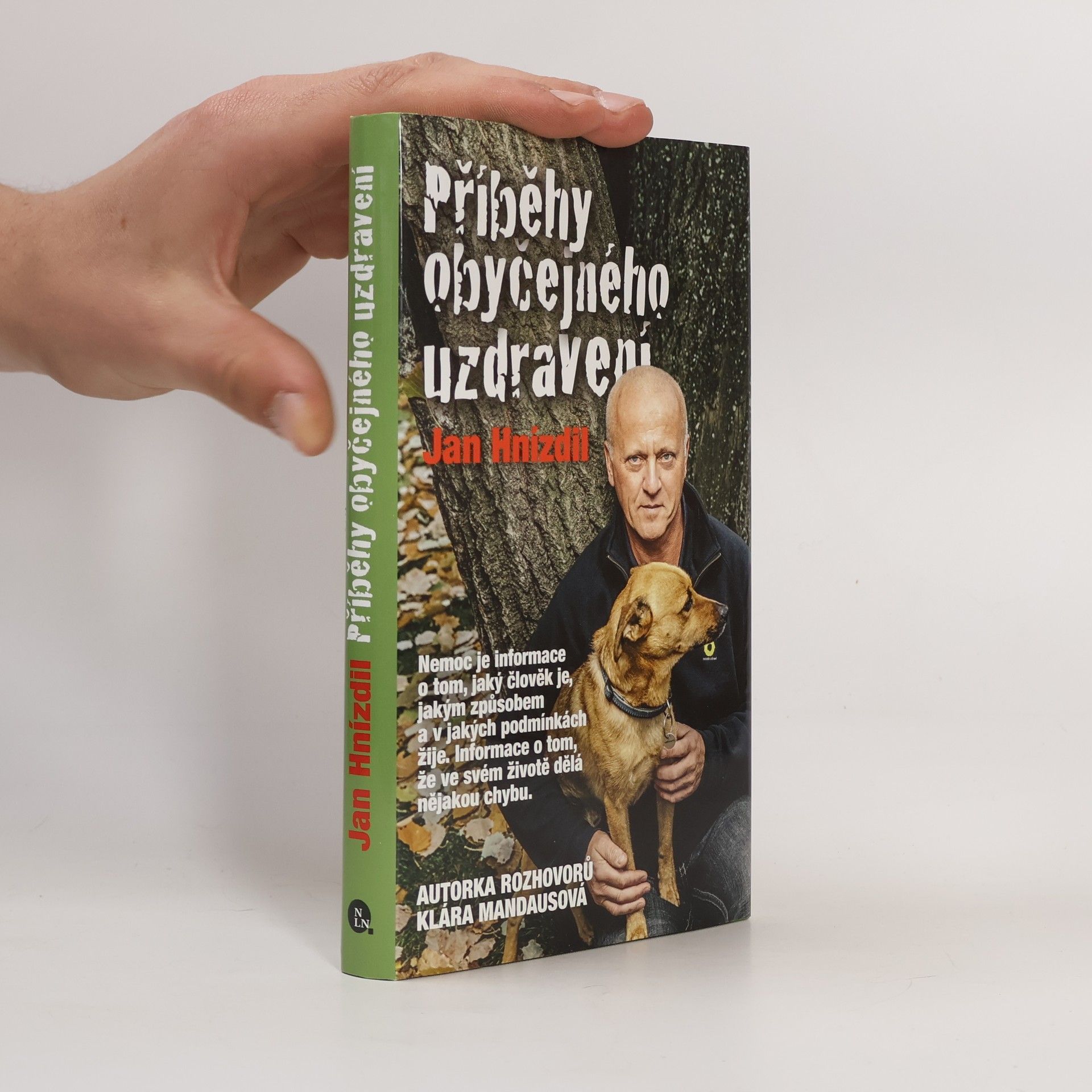 Příběhy obyčejného uzdravení