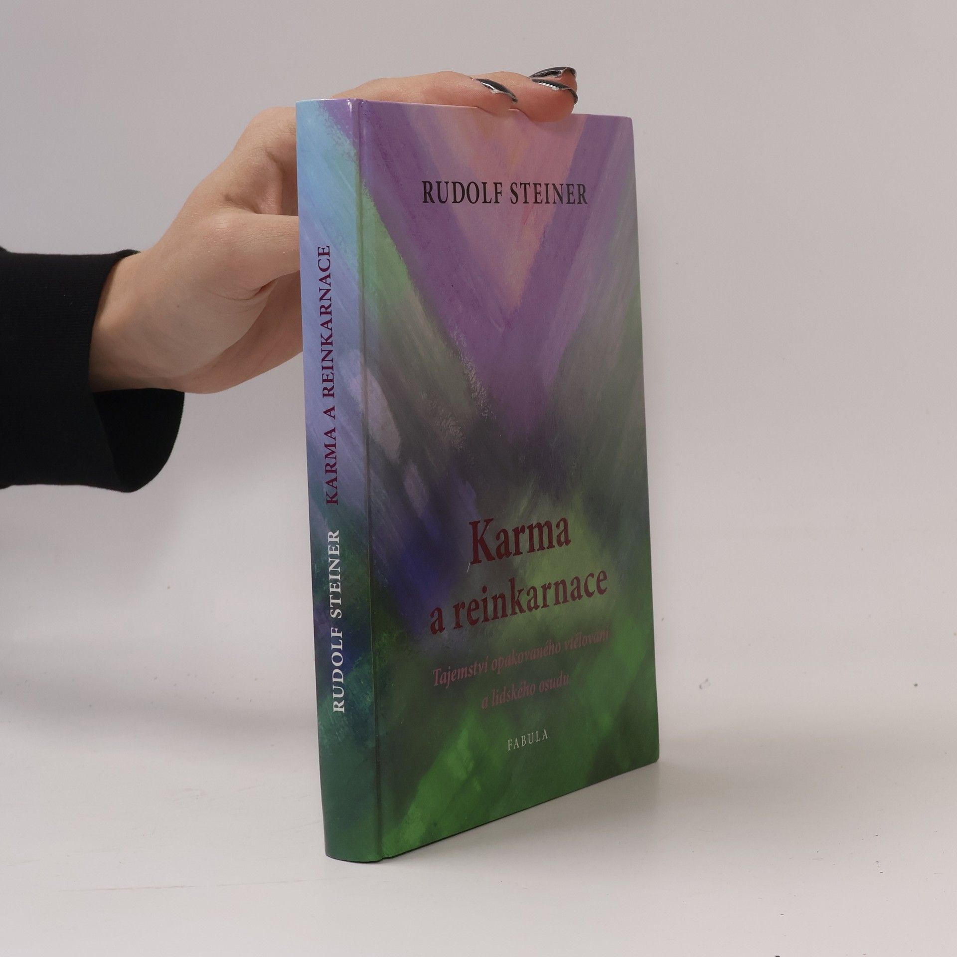 Rudolf Steiner Karma a reinkarnace. Tajemství opakovaného vtělování a lidského osudu