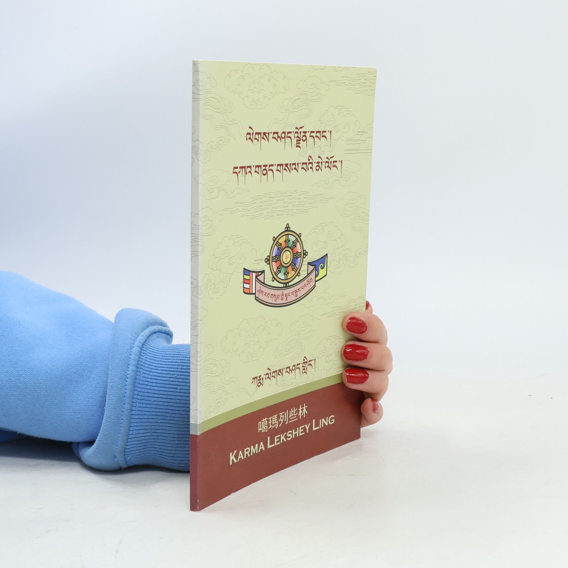 Auteurscollectief ལེགས་བཤད་ལྗོན་དབང་། དཀའ་གནད་གསལ་བའི་མེ་ལོང༌།