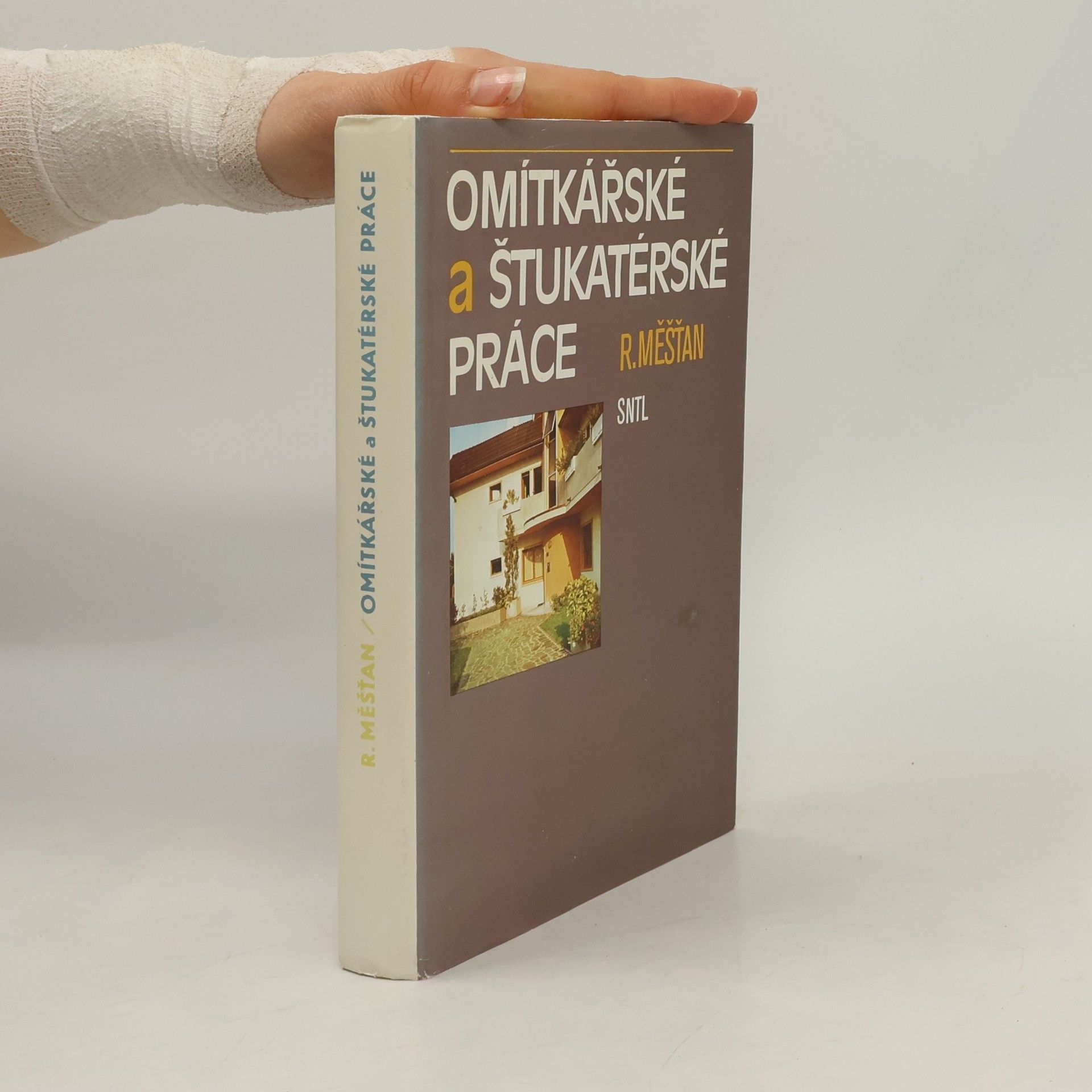 Radomír Měšťan Omítkářské a štukatérské práce