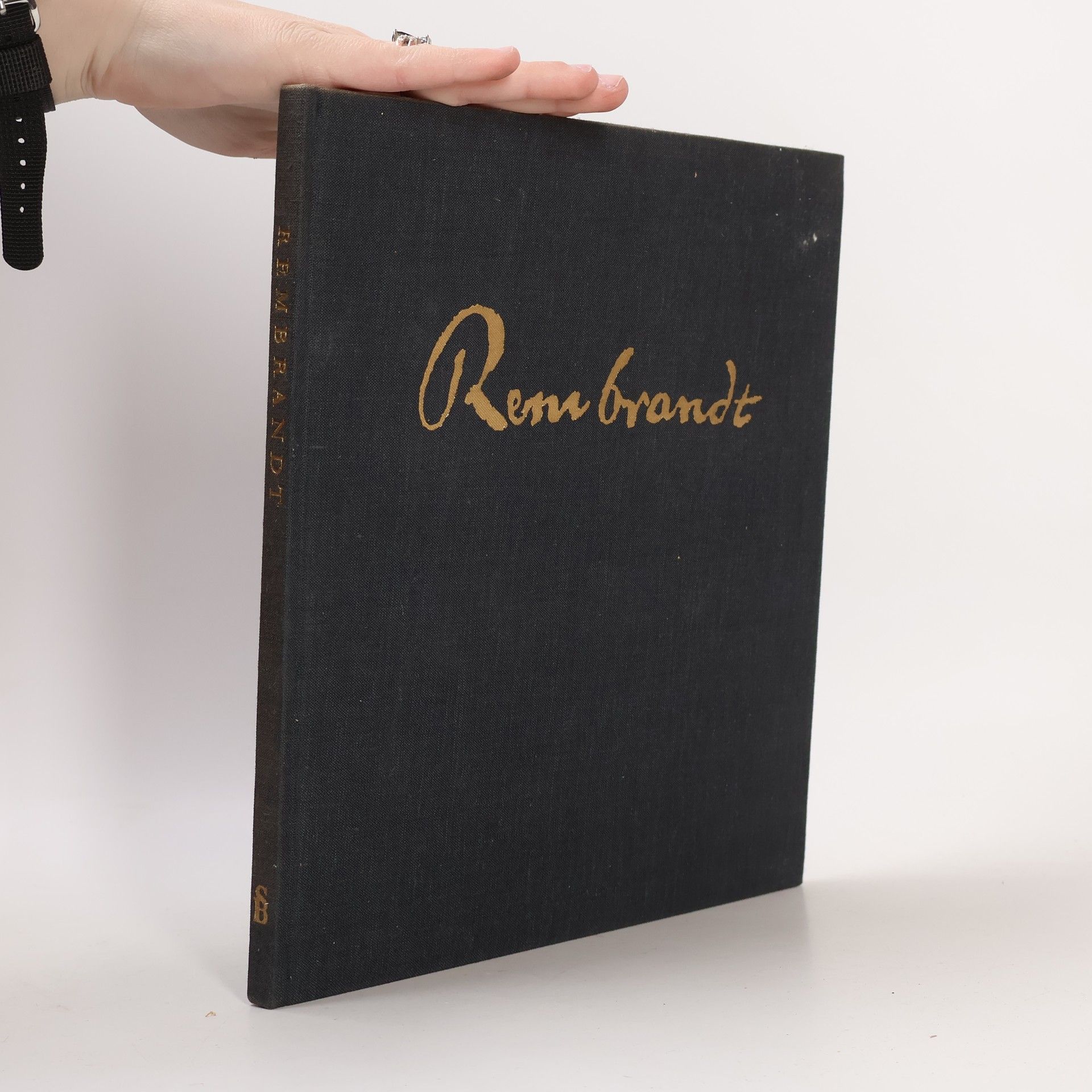 Trewin Copplestone Rembrandt