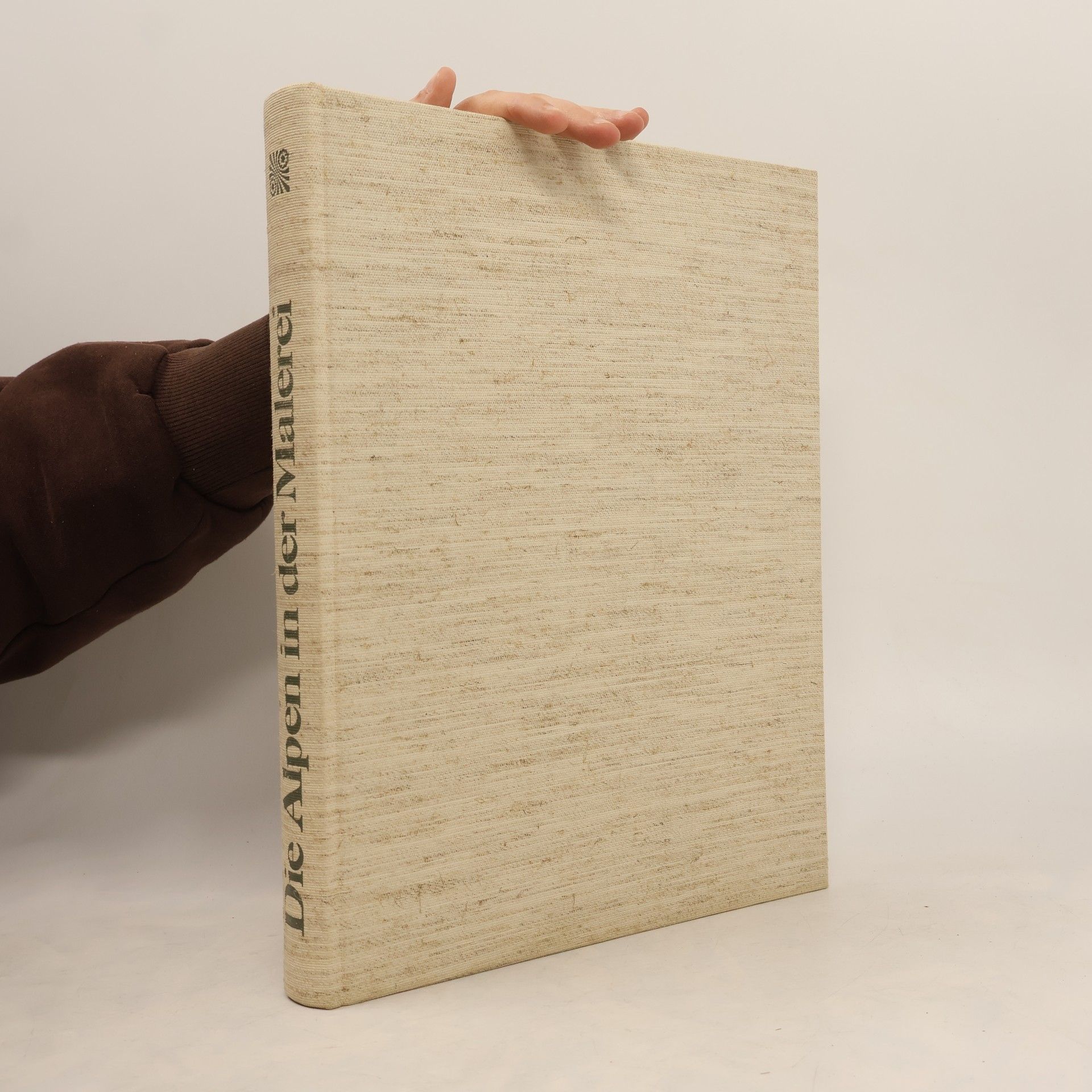 Nicolo Rasmo Die Alpen in der Malerei