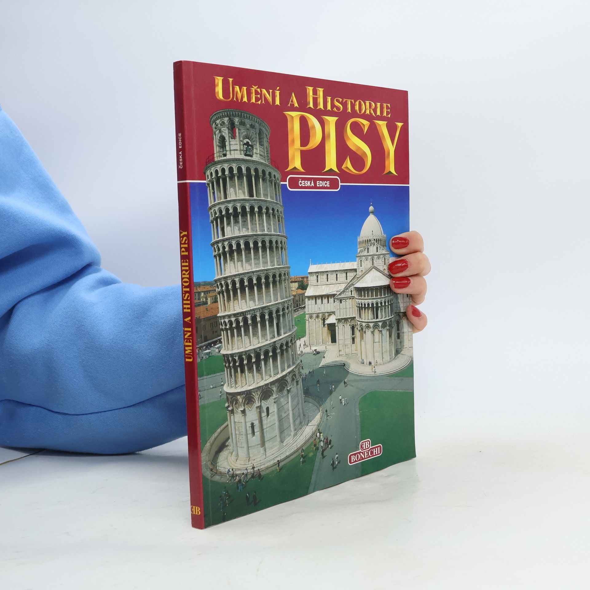 Andrea Pistolesi Umění a historie Pisy