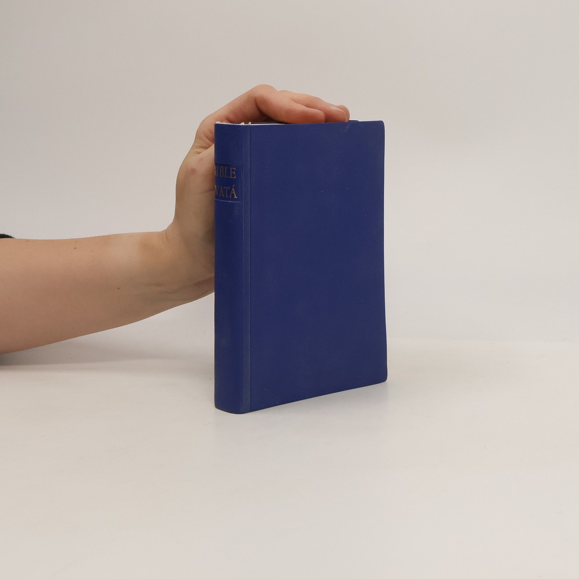 Autorenkollektiv Bible svatá aneb včecka svatá písma starého i nového zákona