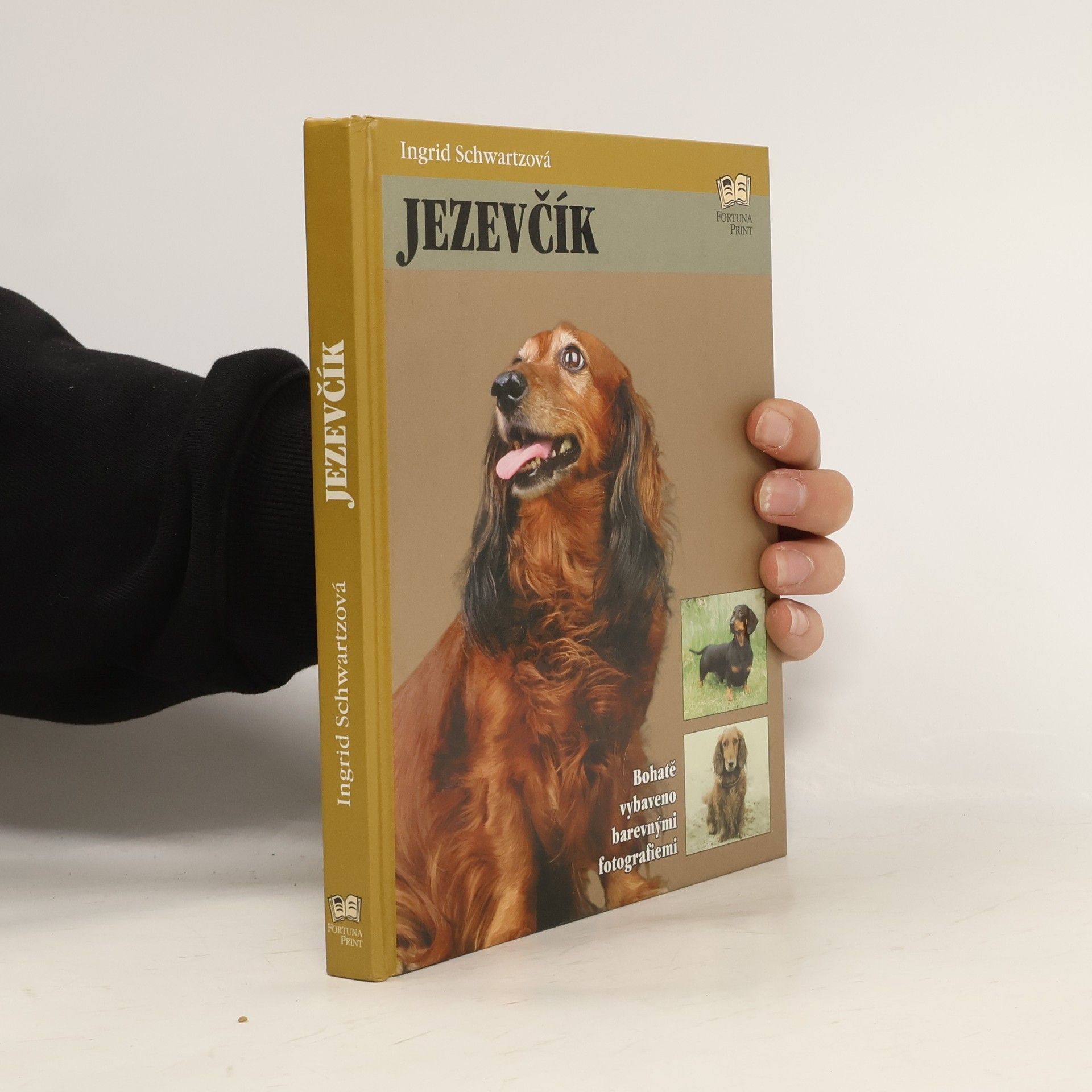 Ingrid Schwartz Jezevčík