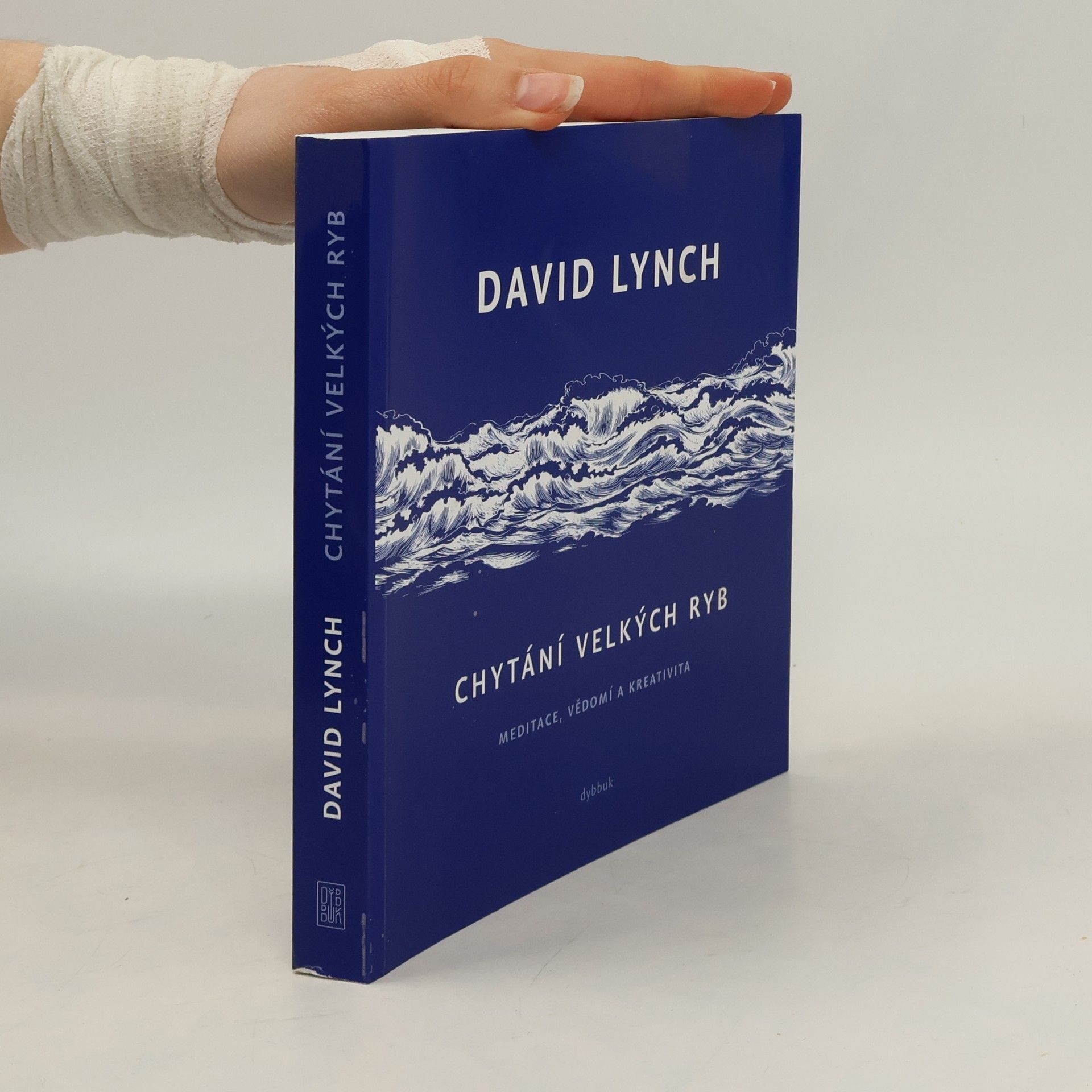 Chytání velkých ryb