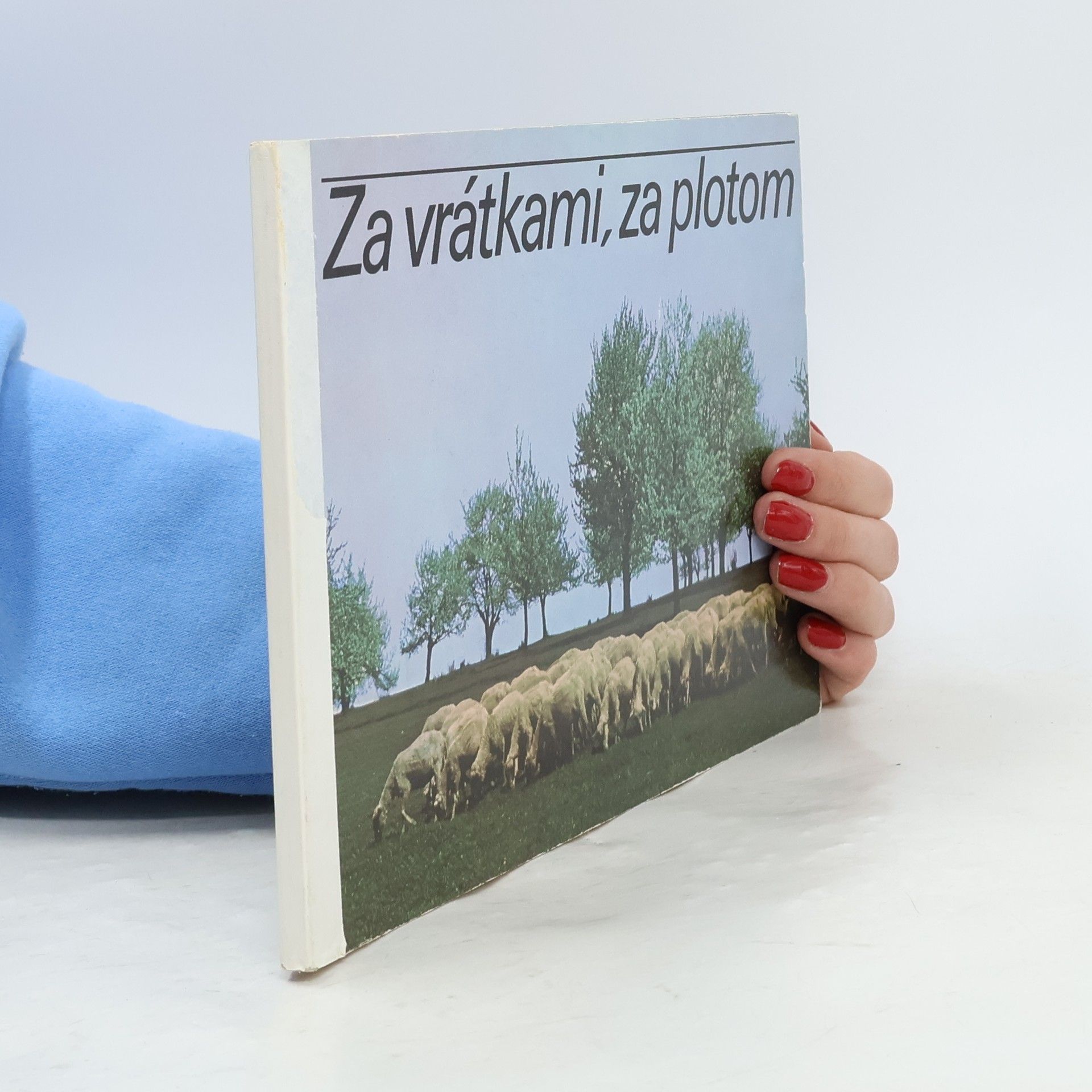 Julius Kontár Za vrátky, za plotem