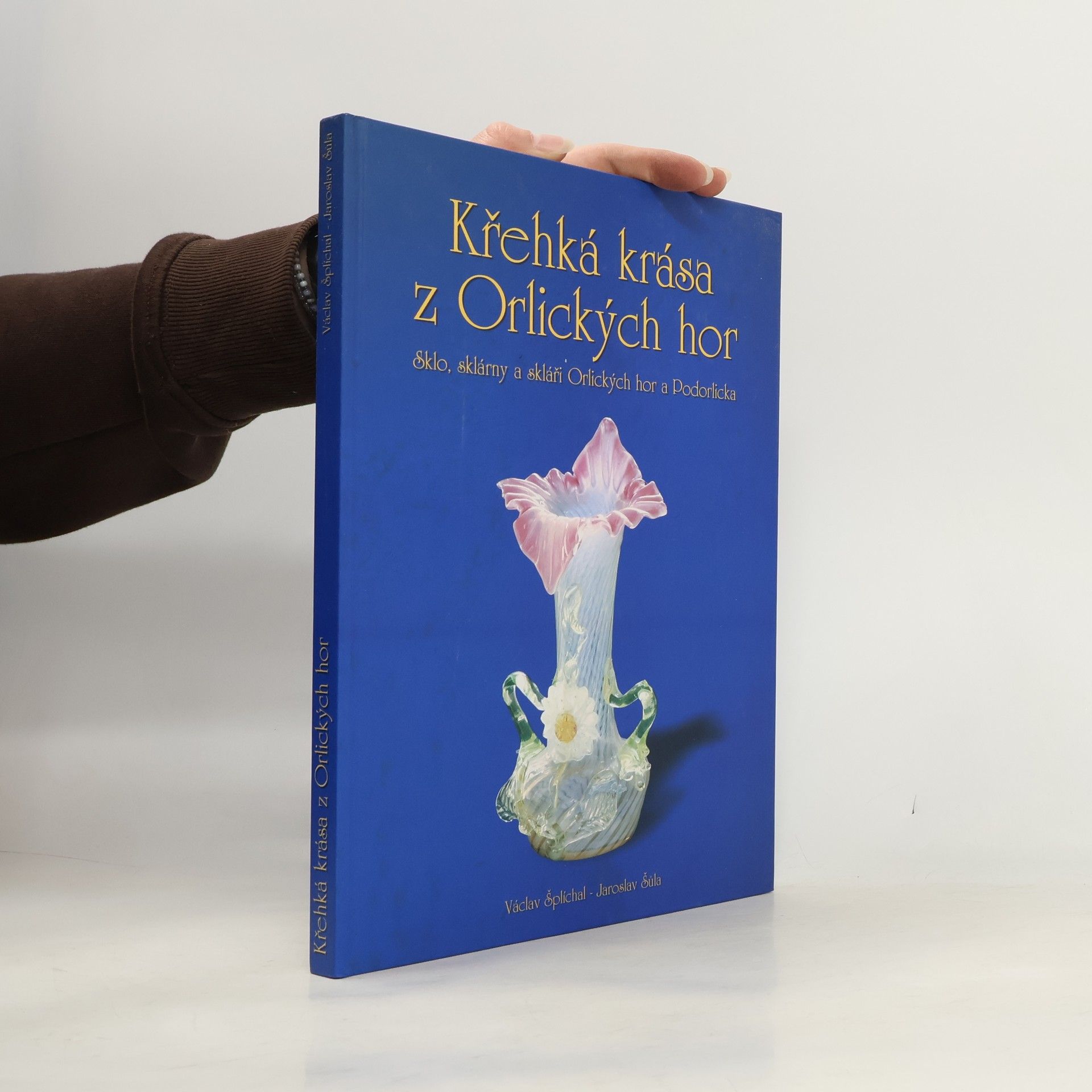 Jaroslav Šůla Křehká krása z Orlických hor