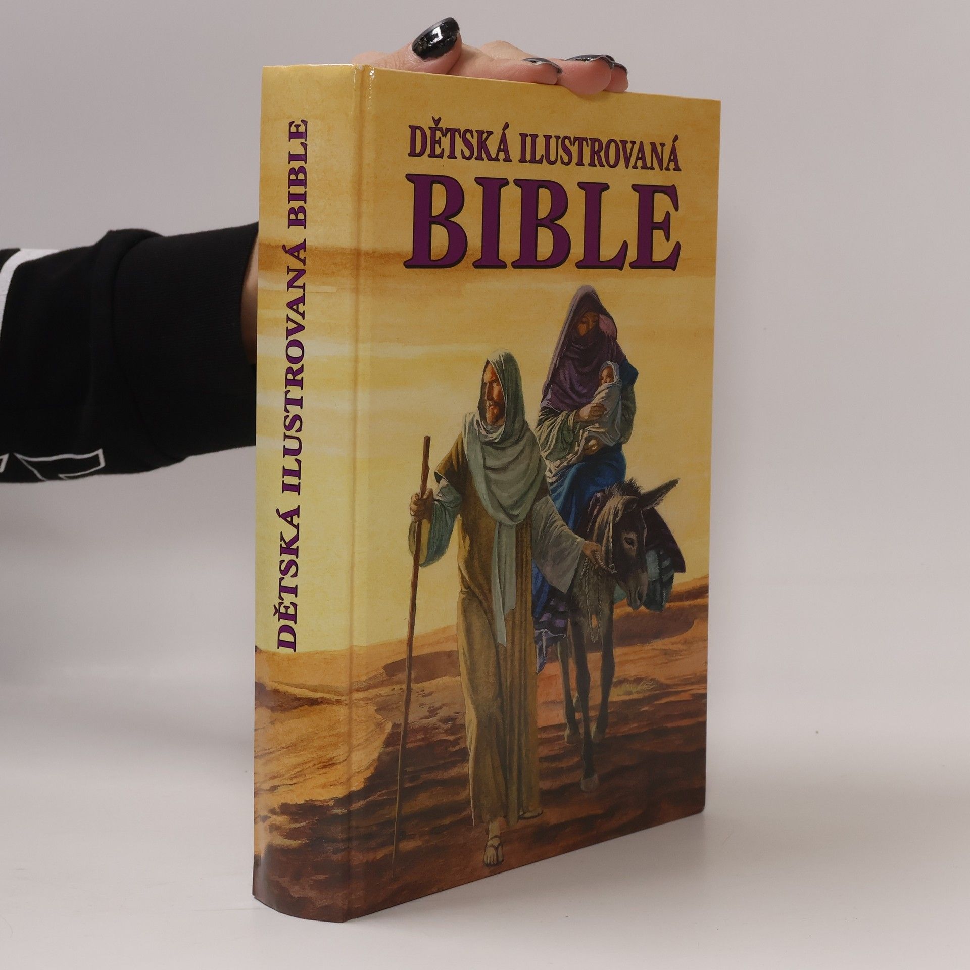 Kolektiv autorů Dětská ilustrovaná bible