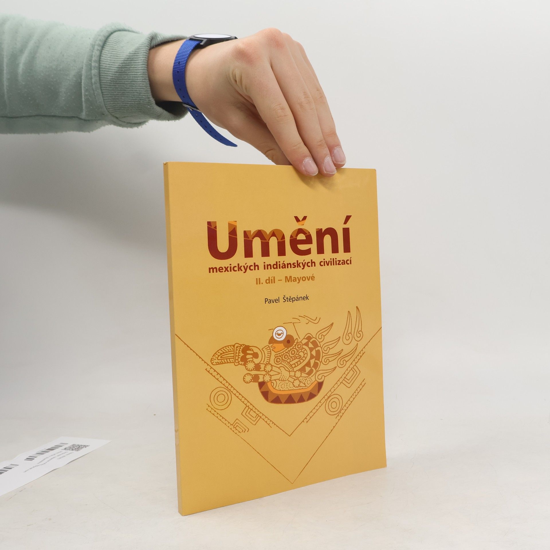 Pavel Stepanek Umění mexických indiánských civilizací II. díl