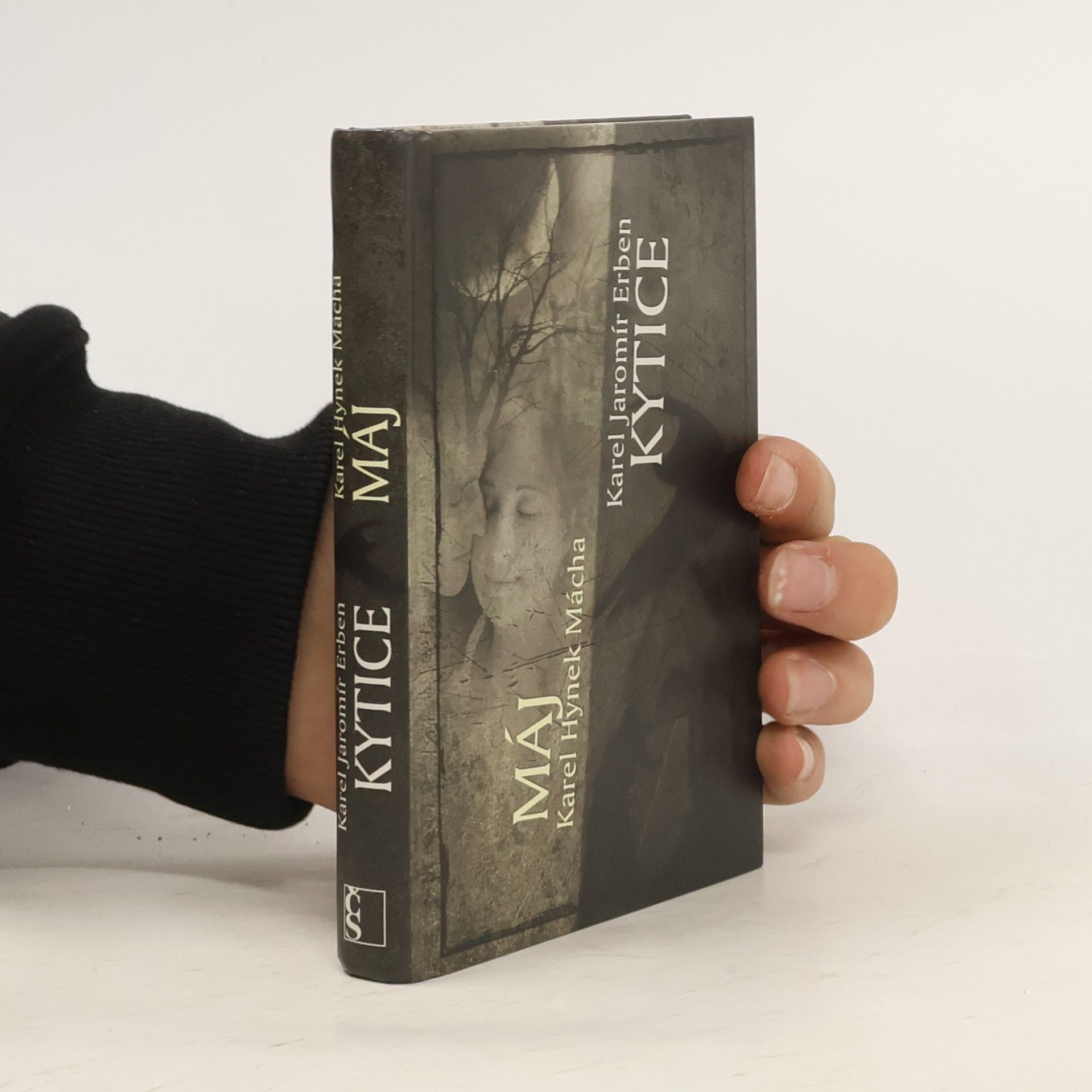 Karel Hynek Mácha Máj. Kytice