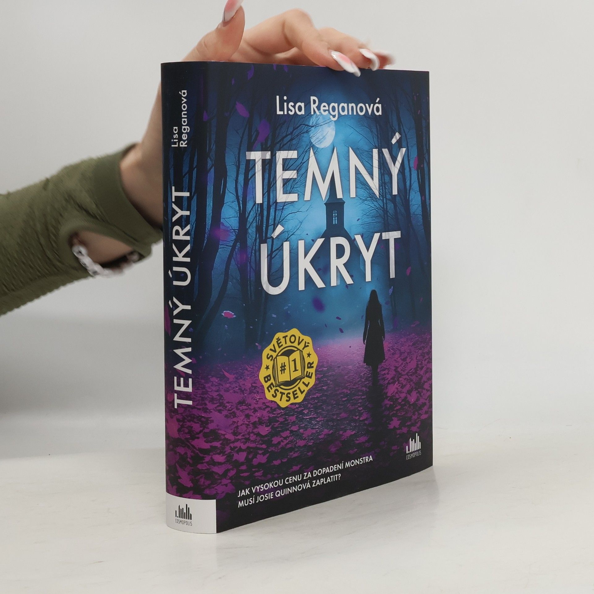 Lisa Regan Temný úkryt