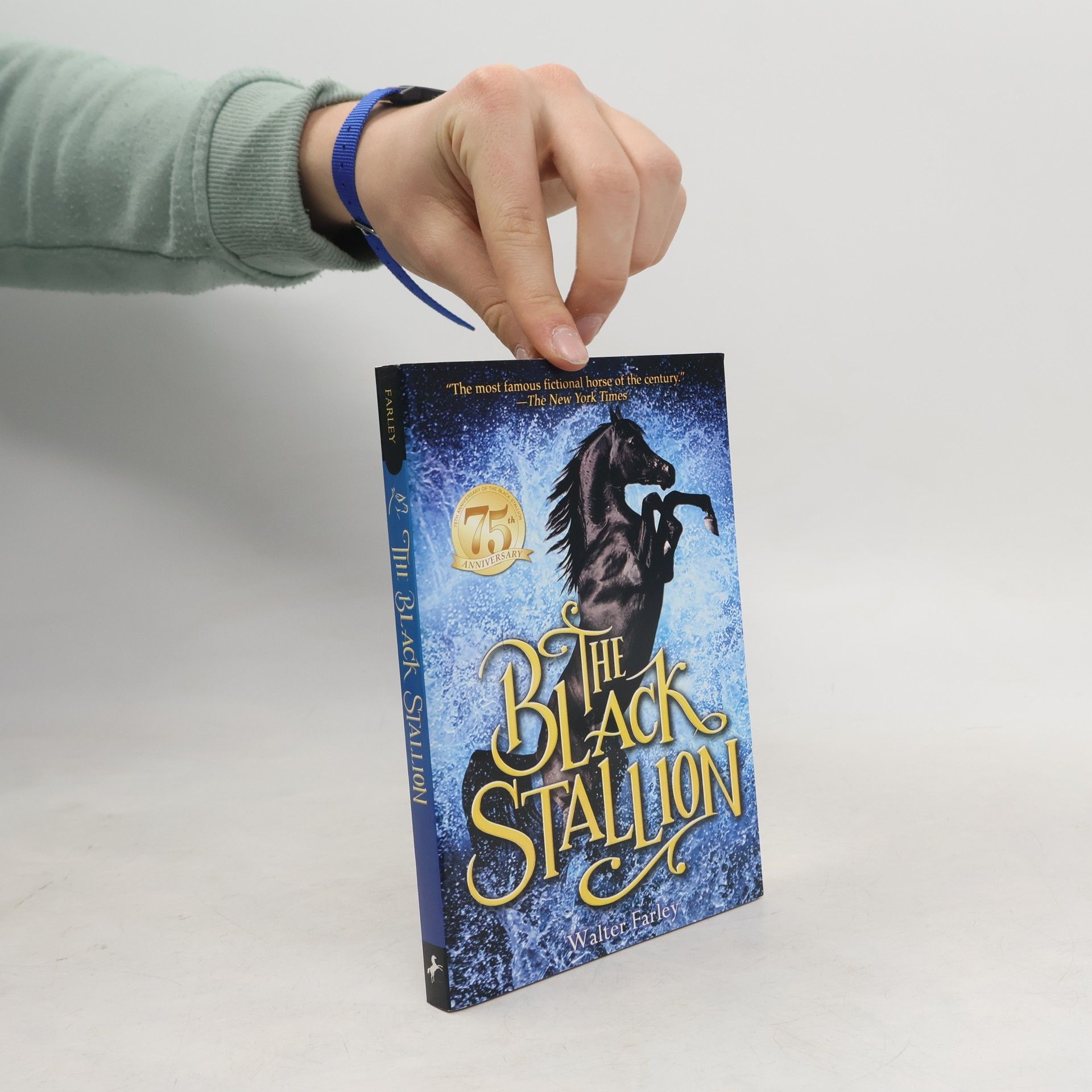 Walter Farley The Black Stallion