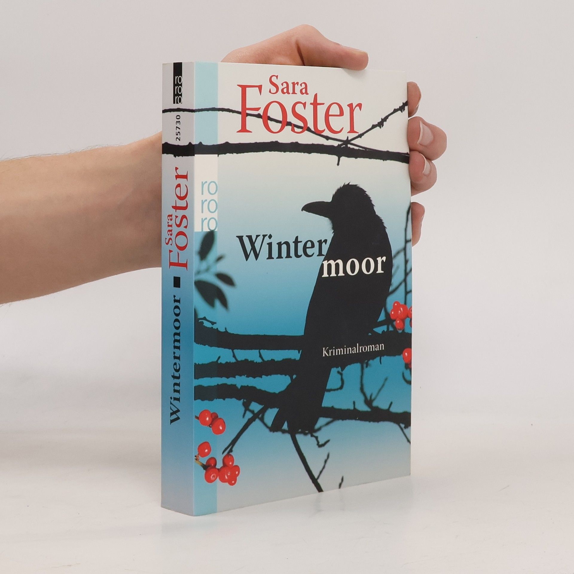 Sara Foster Winter moor