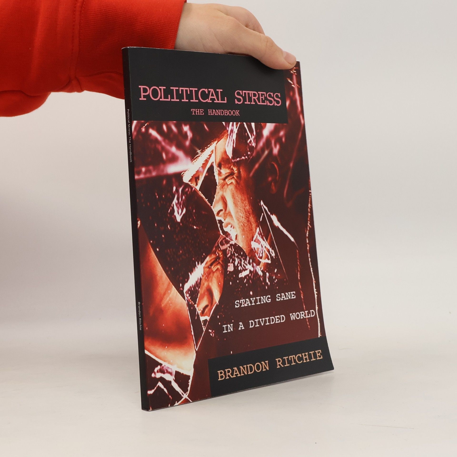 Brandon Ritchie Political Stress: The Handbook: Staying Sane in a Divided World
