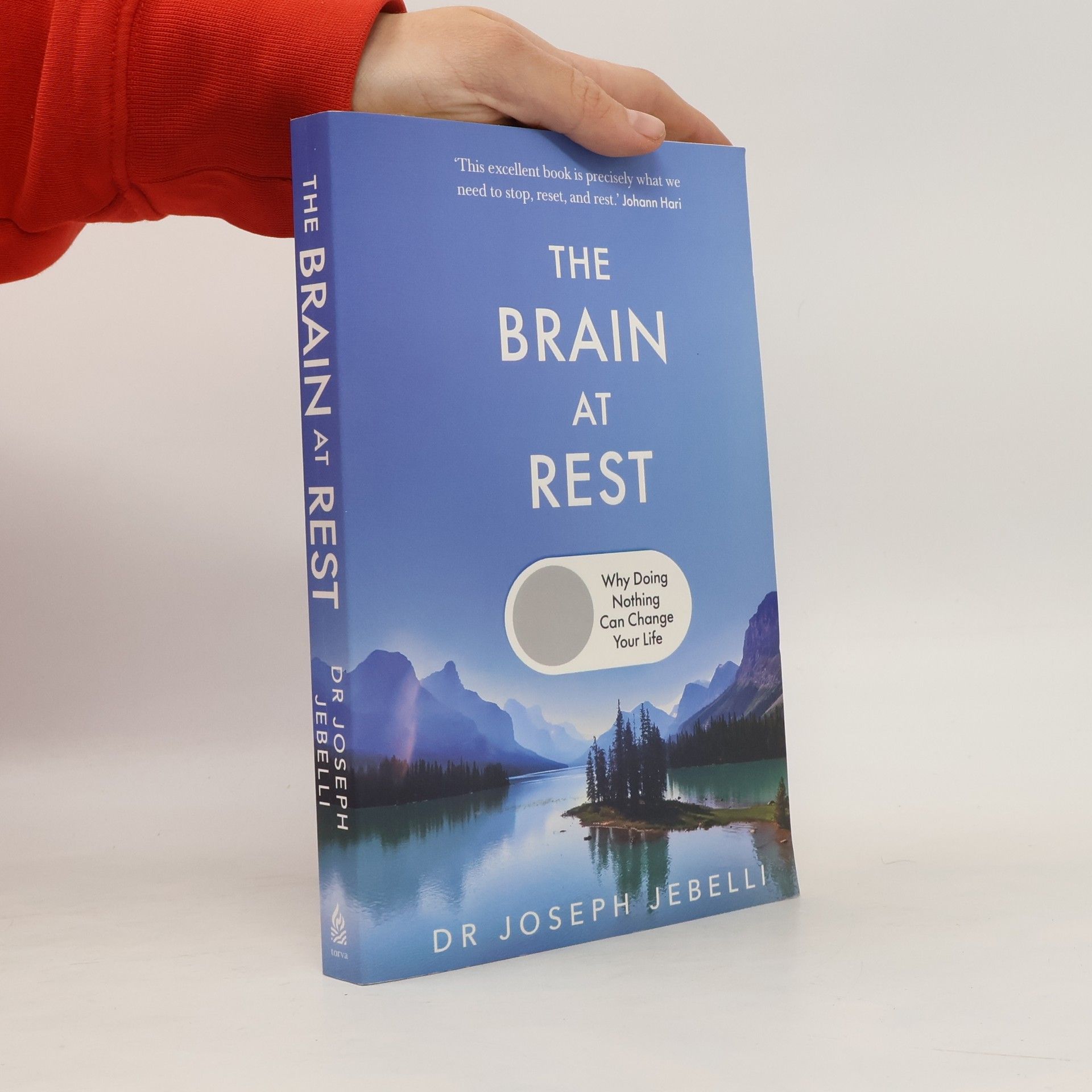 Joseph Jebelli The Brain at Rest