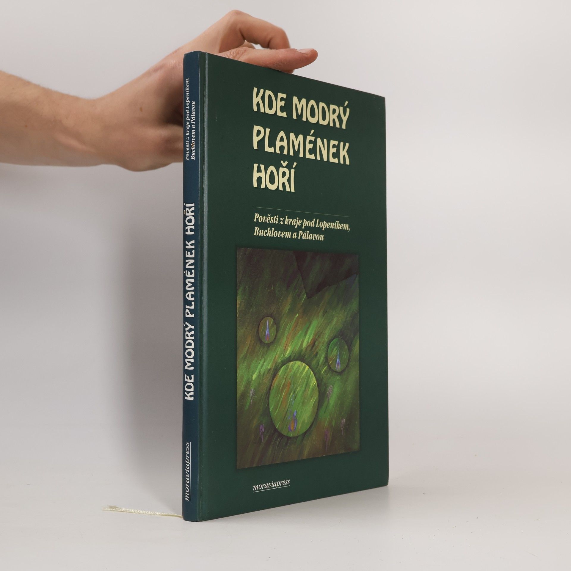 Alena Bartošíková Kde modrý plamének hoří