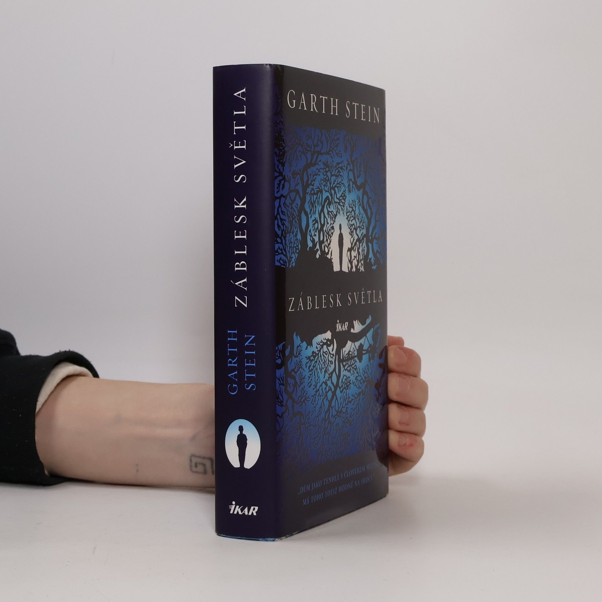 Garth Stein Záblesk světla