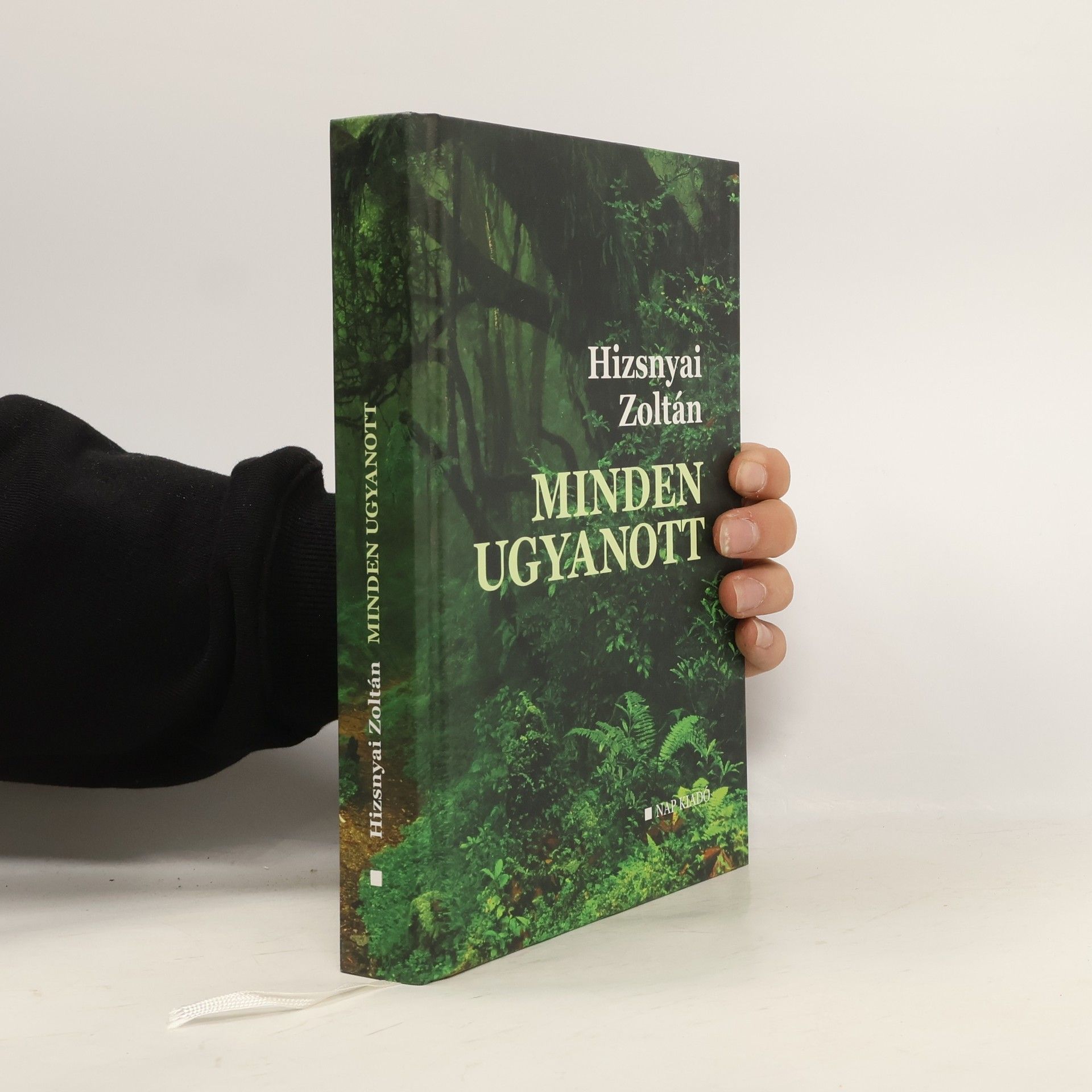 Zoltán Hizsnyai Minden ugyanott