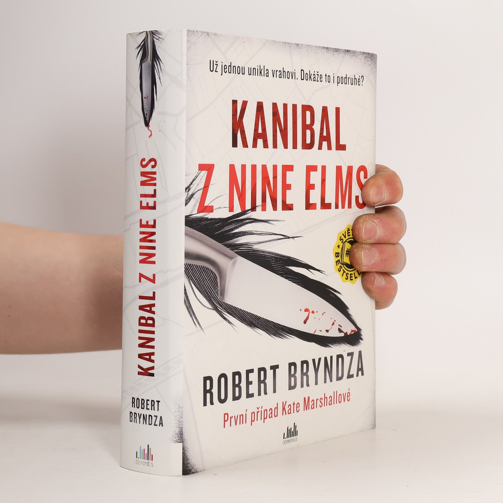 Robert Bryndza Kanibal z Nine Elms